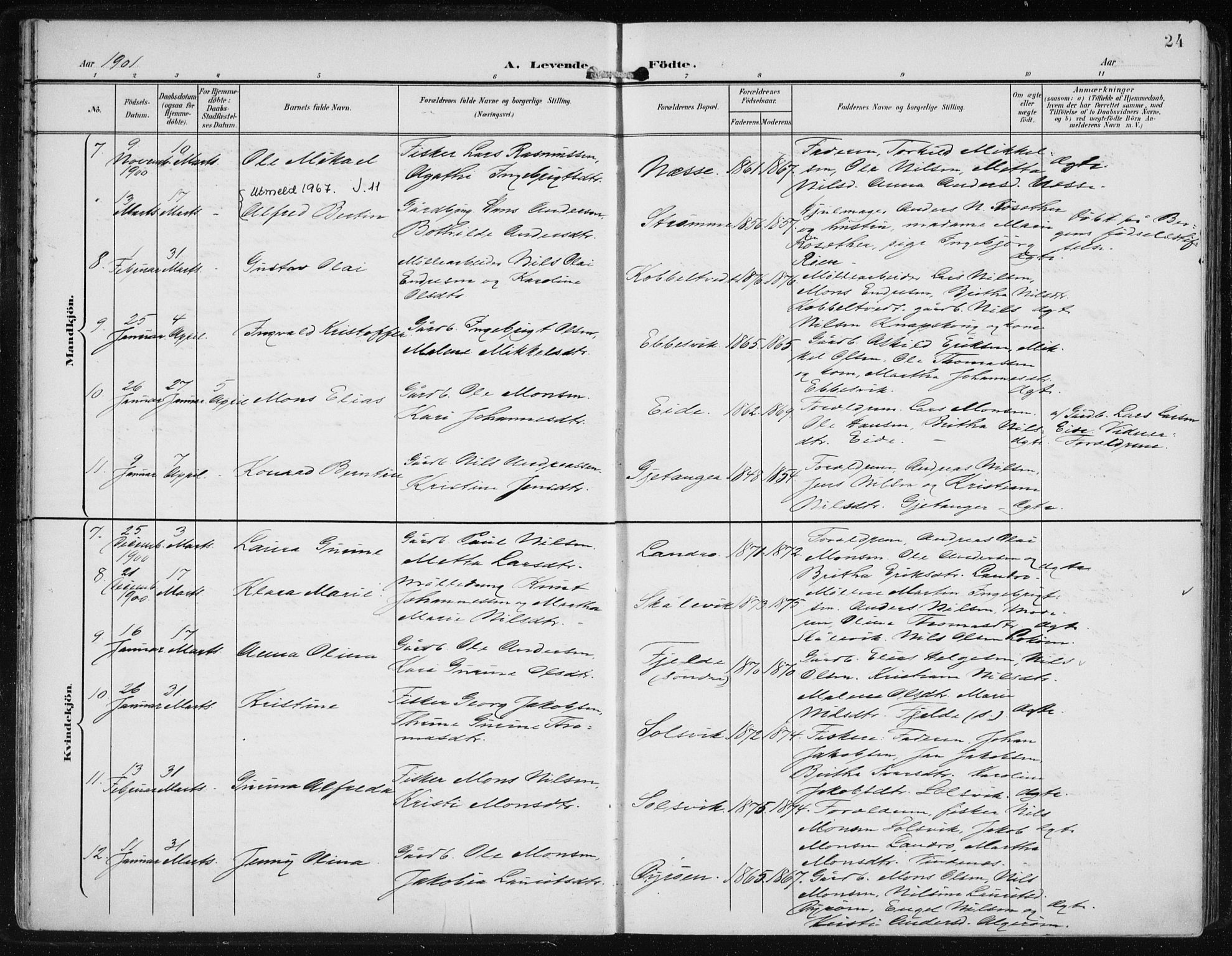 Fjell sokneprestembete, AV/SAB-A-75301/H/Haa: Parish register (official) no. A  9, 1899-1910, p. 24