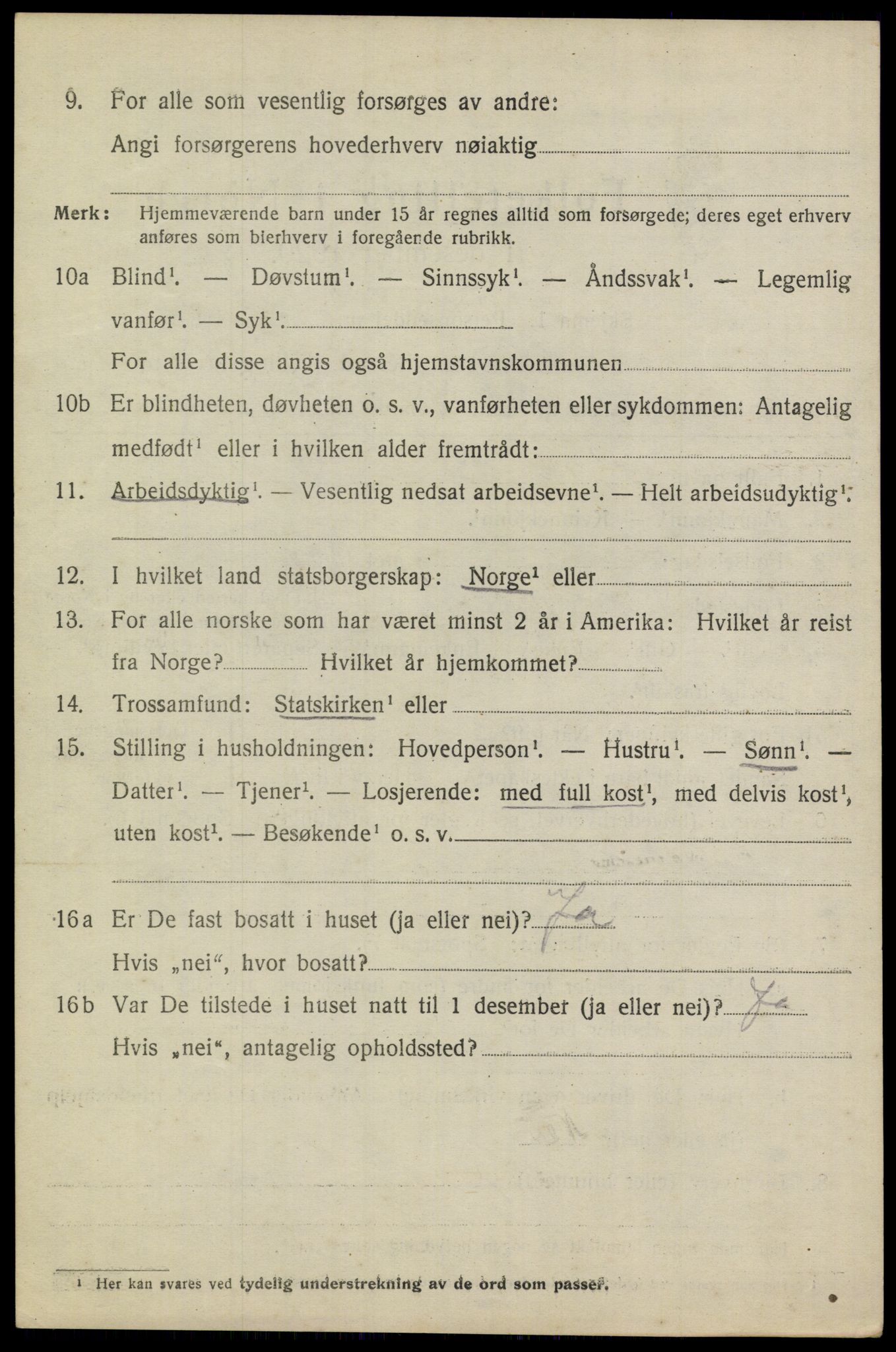 SAKO, 1920 census for Heddal, 1920, p. 1953