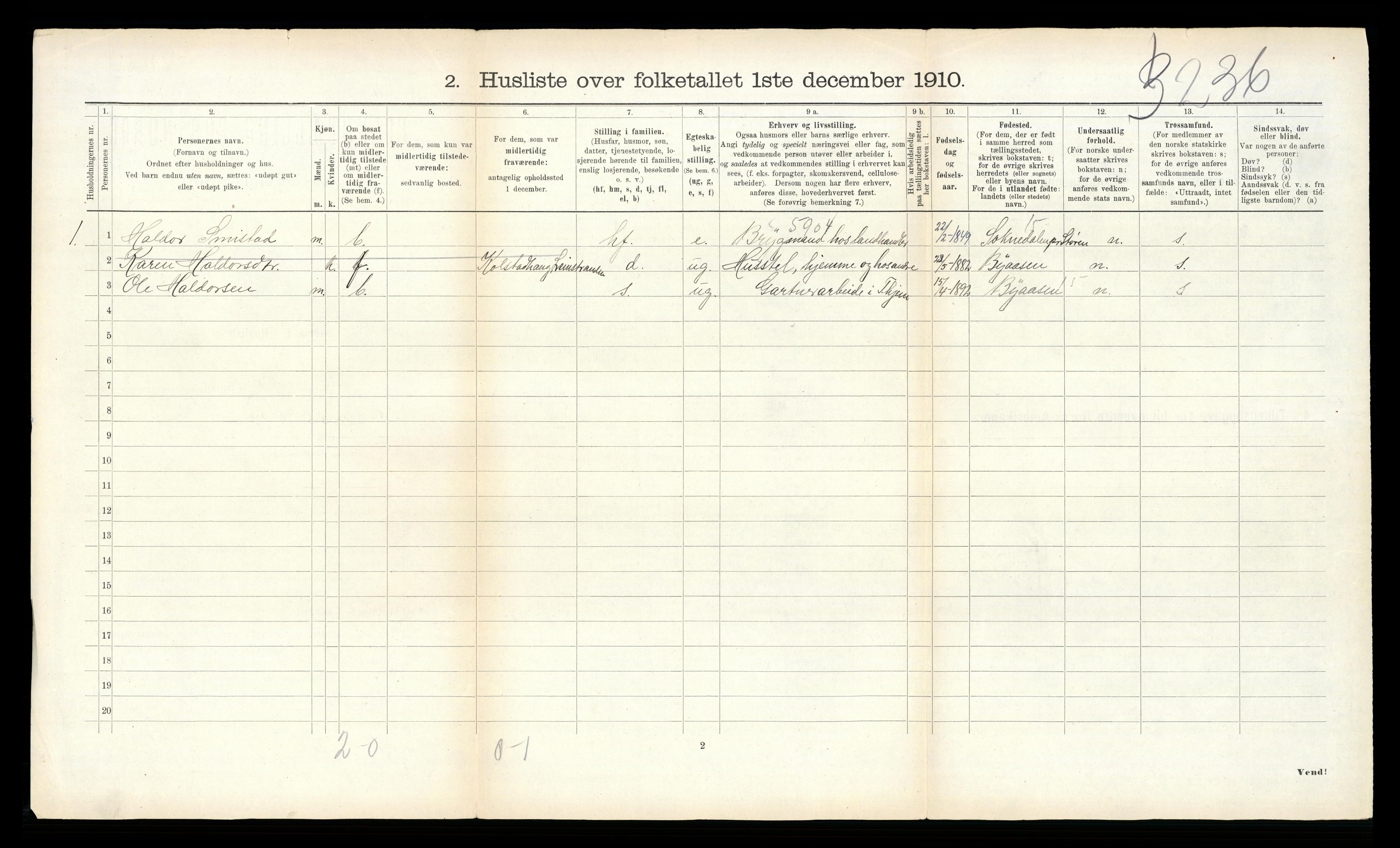 RA, 1910 census for Leinstrand, 1910, p. 244