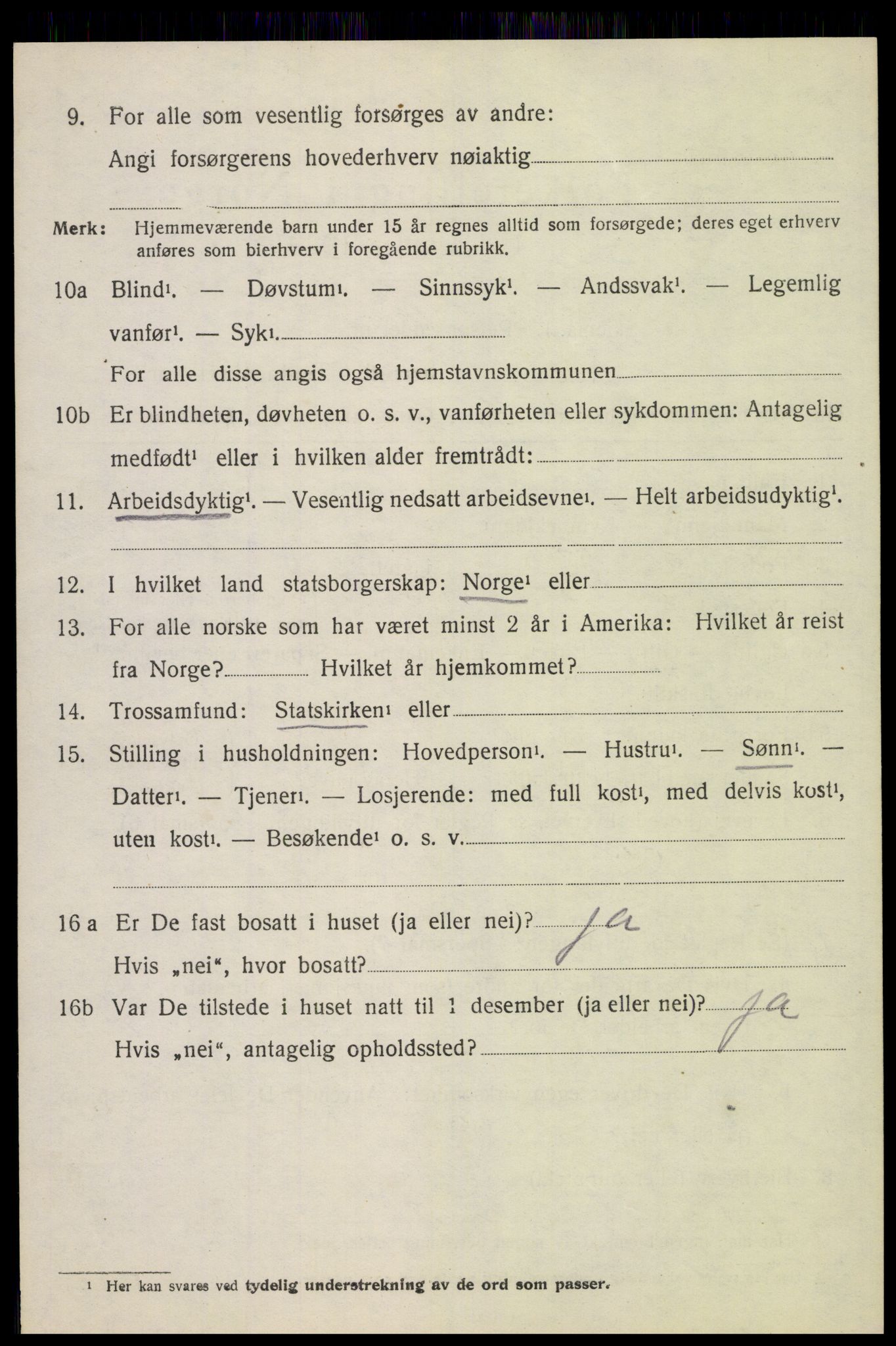 SAH, 1920 census for Gran, 1920, p. 6343