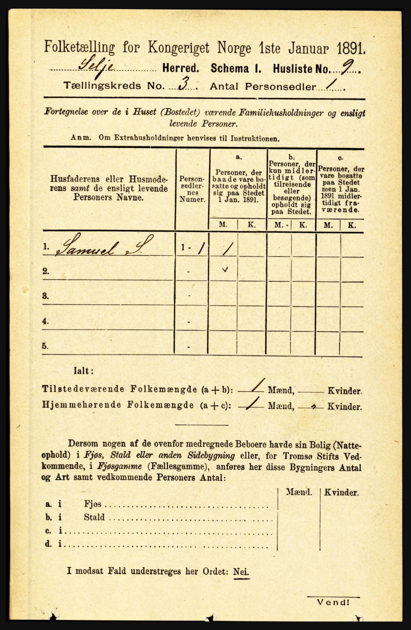 RA, 1891 census for 1441 Selje, 1891, p. 595