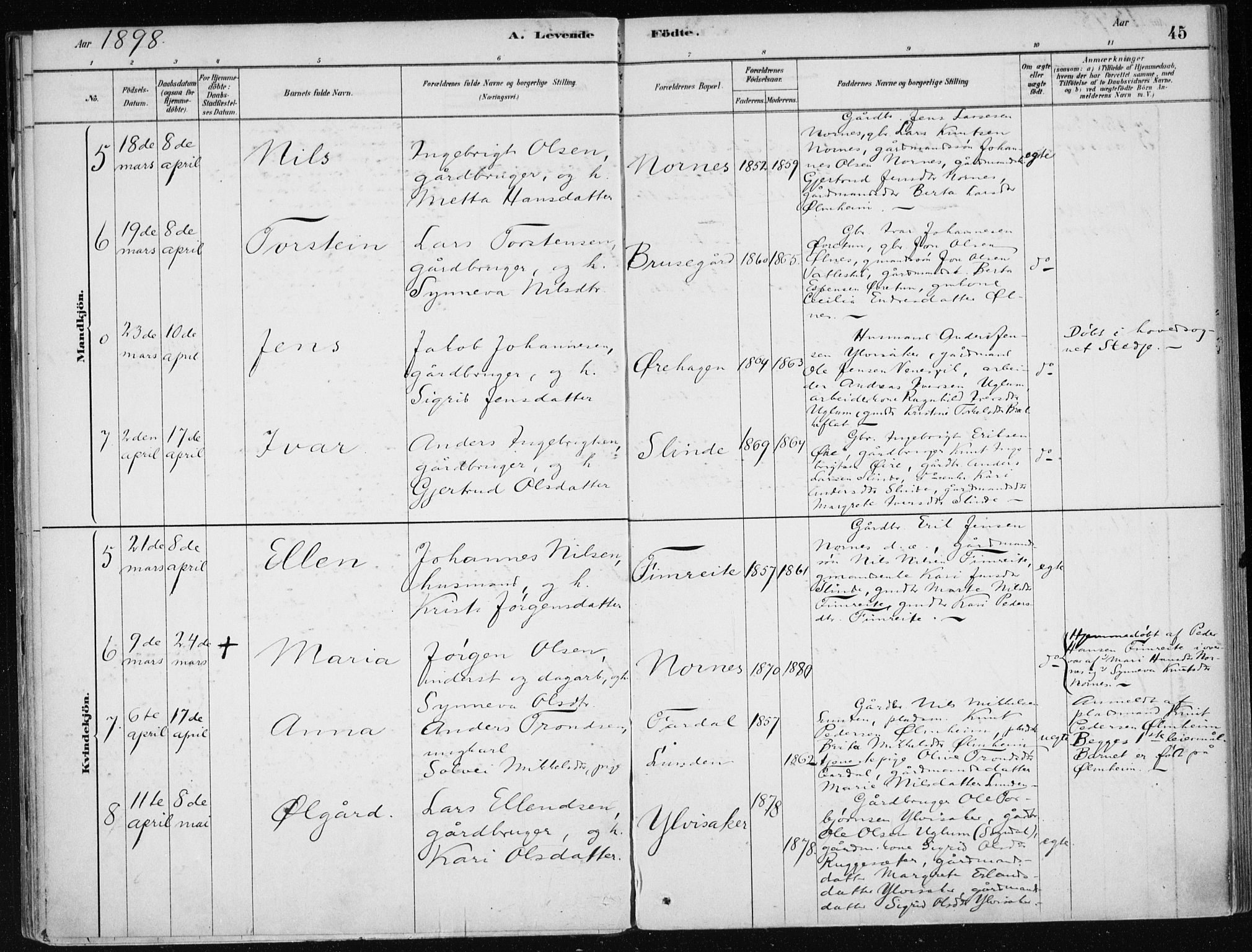 Sogndal sokneprestembete, AV/SAB-A-81301/H/Haa/Haac/L0001: Parish register (official) no. C 1, 1878-1907, p. 45