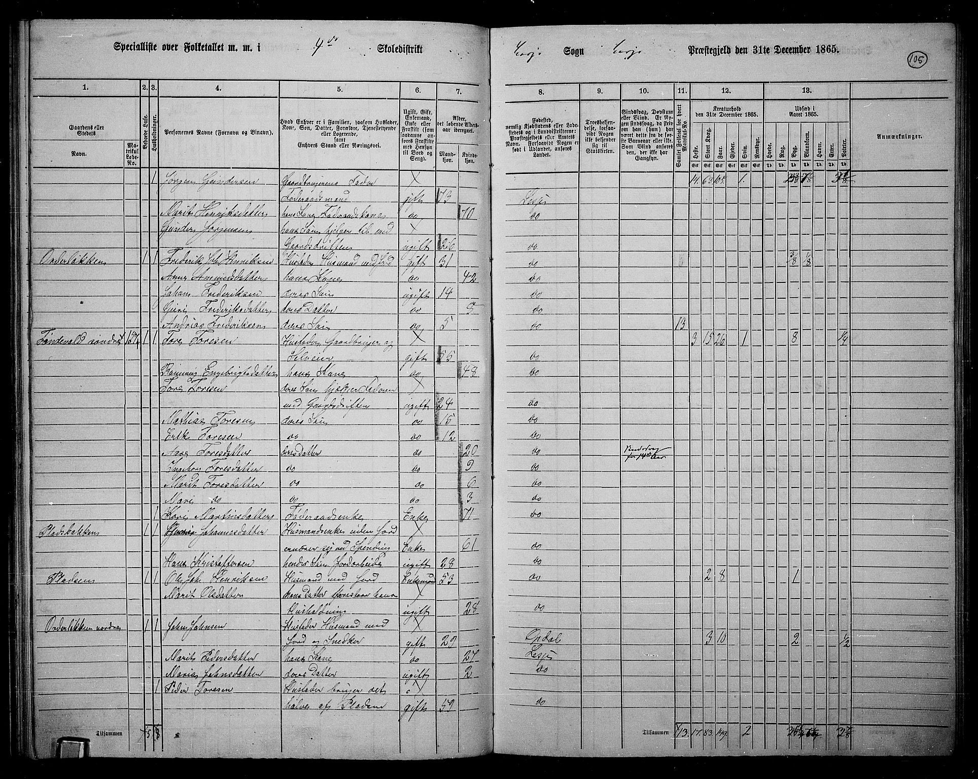 RA, 1865 census for Lesja, 1865, p. 91