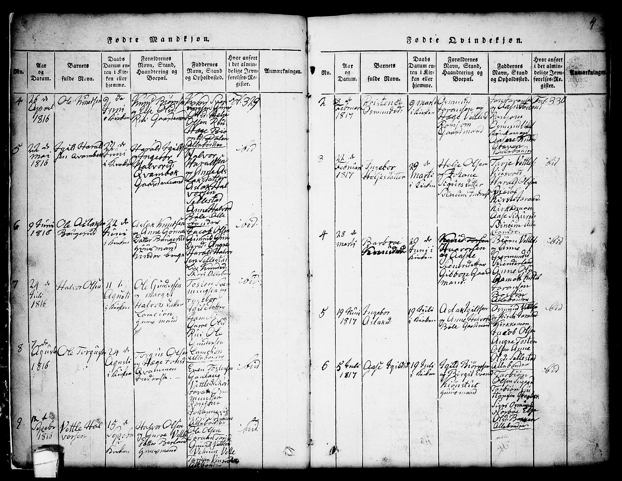 Seljord kirkebøker, AV/SAKO-A-20/G/Gc/L0001: Parish register (copy) no. III 1, 1815-1849, p. 4