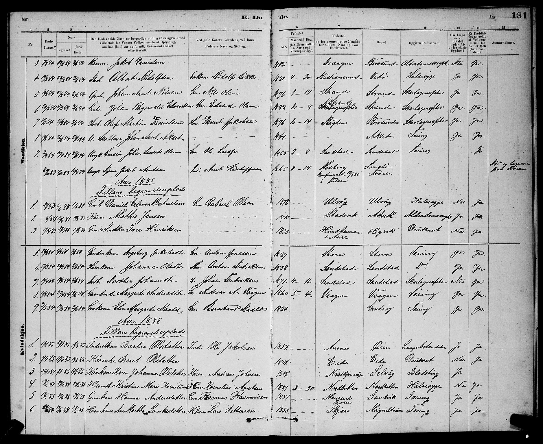 Ministerialprotokoller, klokkerbøker og fødselsregistre - Sør-Trøndelag, SAT/A-1456/637/L0562: Parish register (copy) no. 637C03, 1883-1898, p. 181