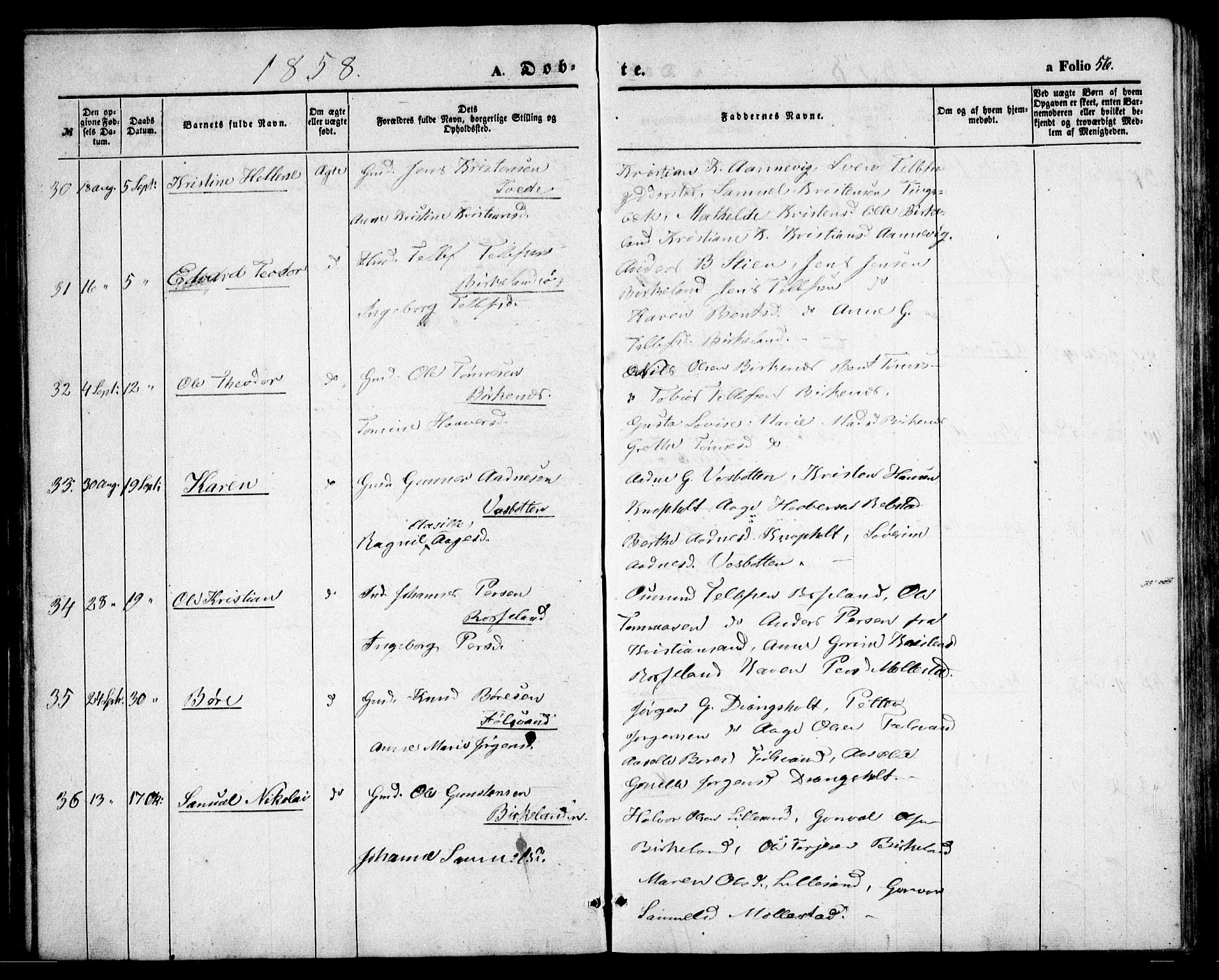 Birkenes sokneprestkontor, AV/SAK-1111-0004/F/Fb/L0002: Parish register (copy) no. B 2, 1849-1876, p. 56