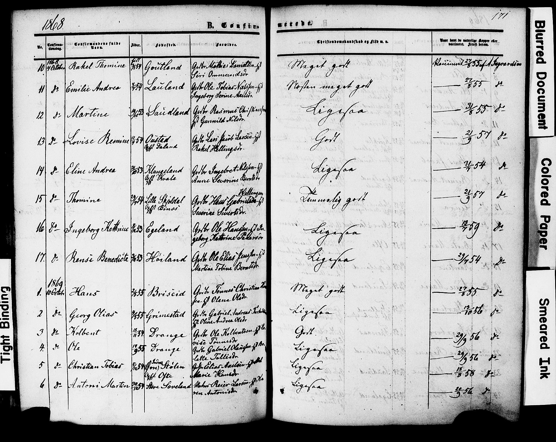 Herad sokneprestkontor, SAK/1111-0018/F/Fa/Faa/L0005: Parish register (official) no. A 5, 1853-1886, p. 171