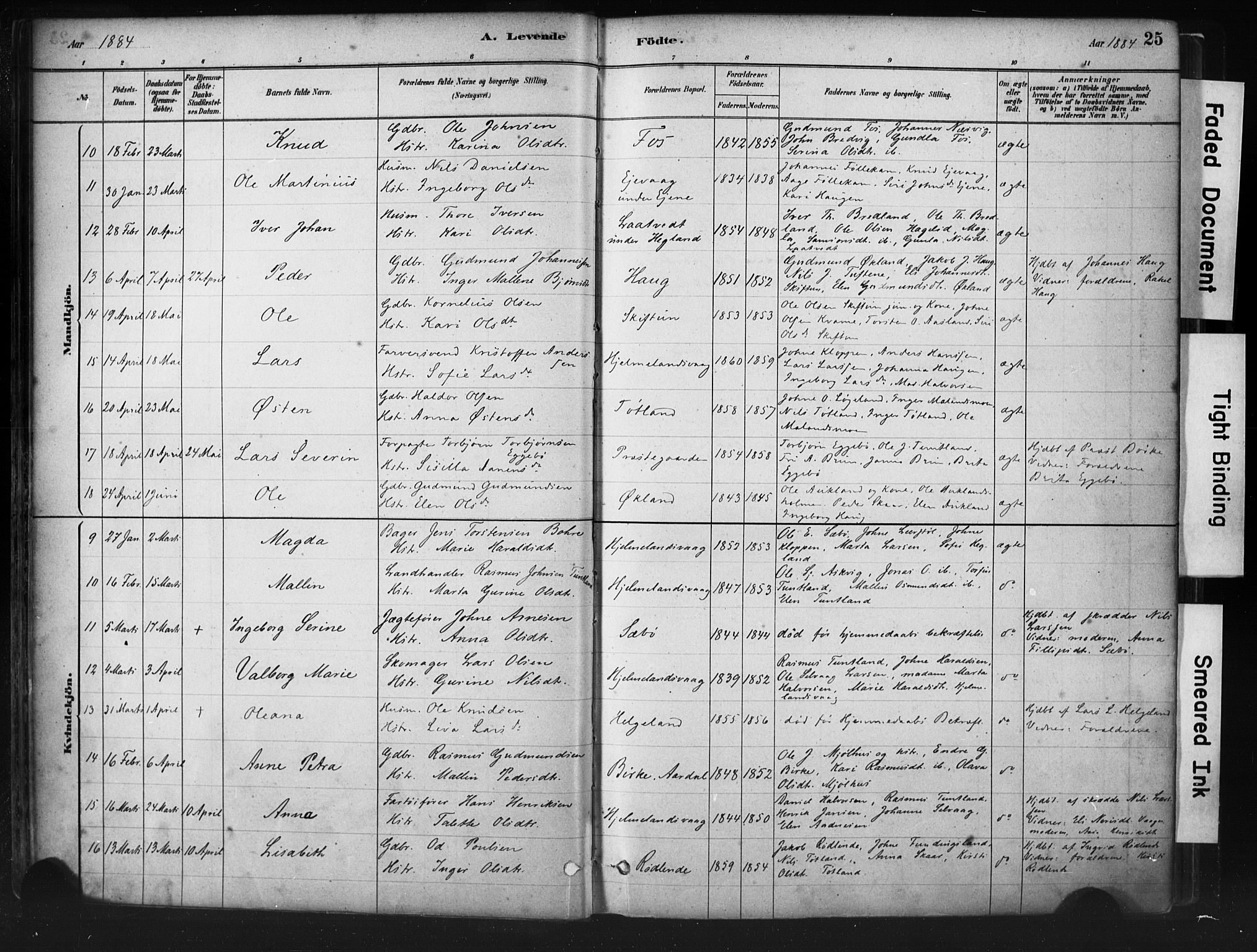 Hjelmeland sokneprestkontor, AV/SAST-A-101843/01/IV/L0014: Parish register (official) no. A 14, 1879-1900, p. 25