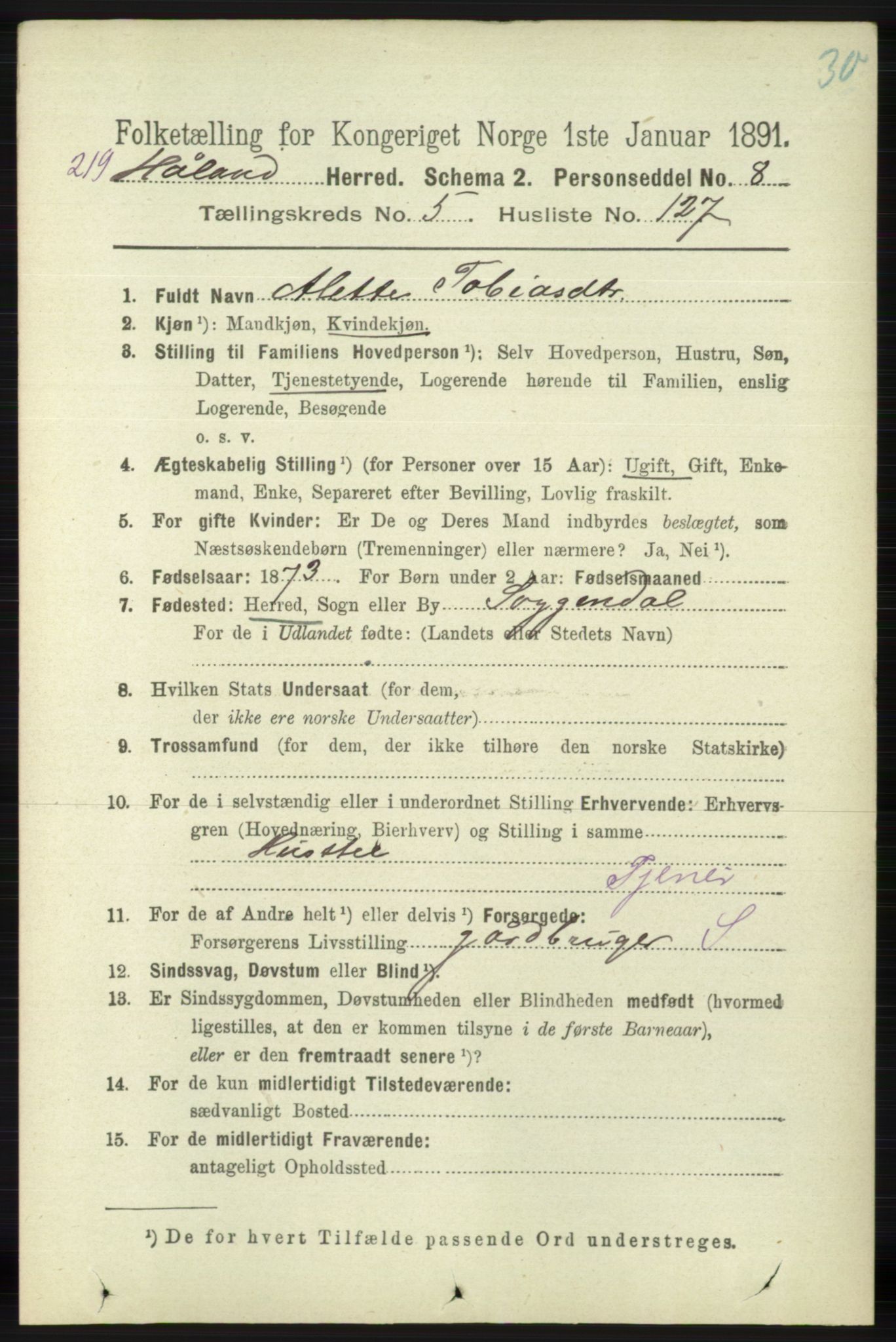 RA, 1891 census for 1124 Haaland, 1891, p. 4066