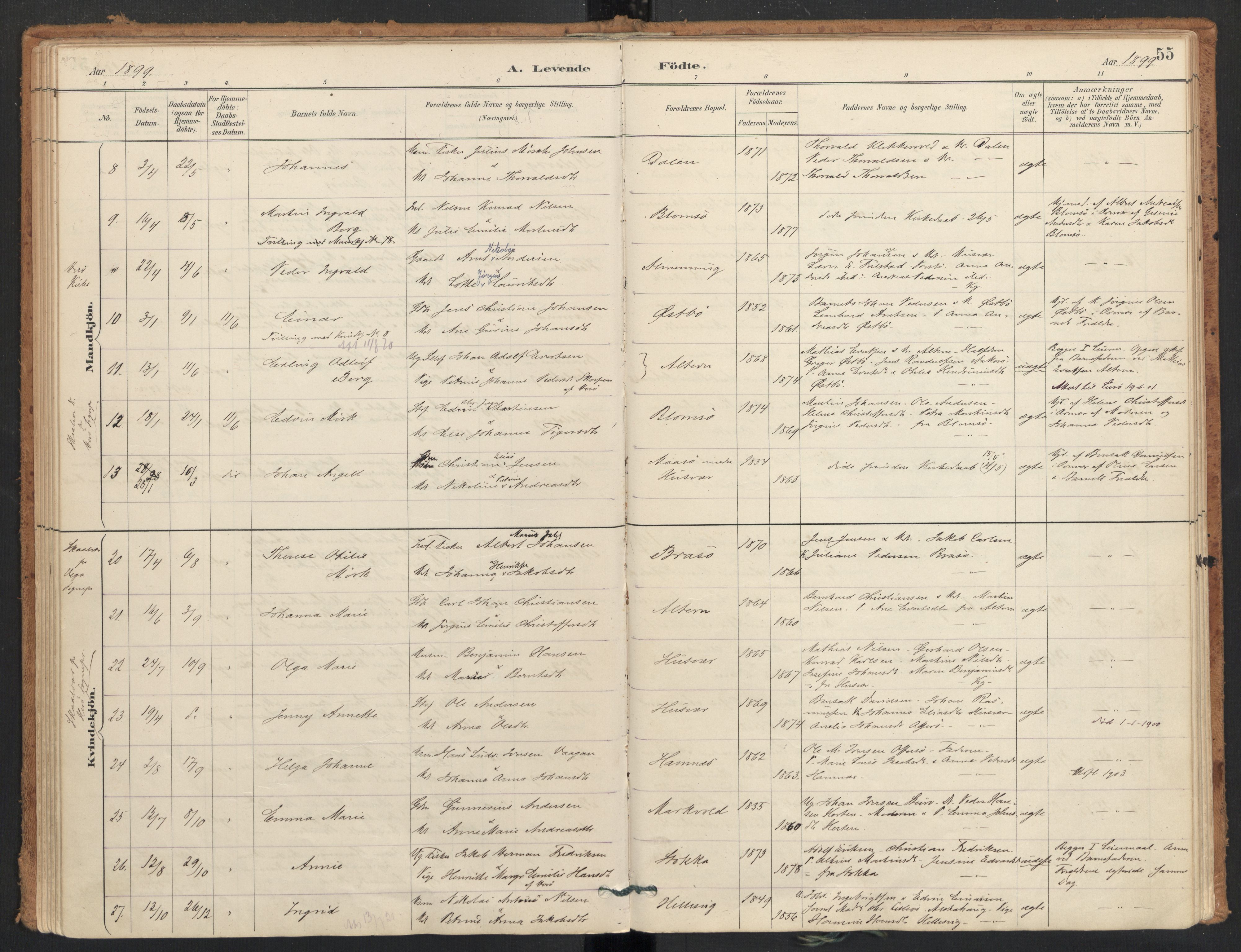 Ministerialprotokoller, klokkerbøker og fødselsregistre - Nordland, AV/SAT-A-1459/830/L0453: Parish register (official) no. 830A17, 1886-1911, p. 55