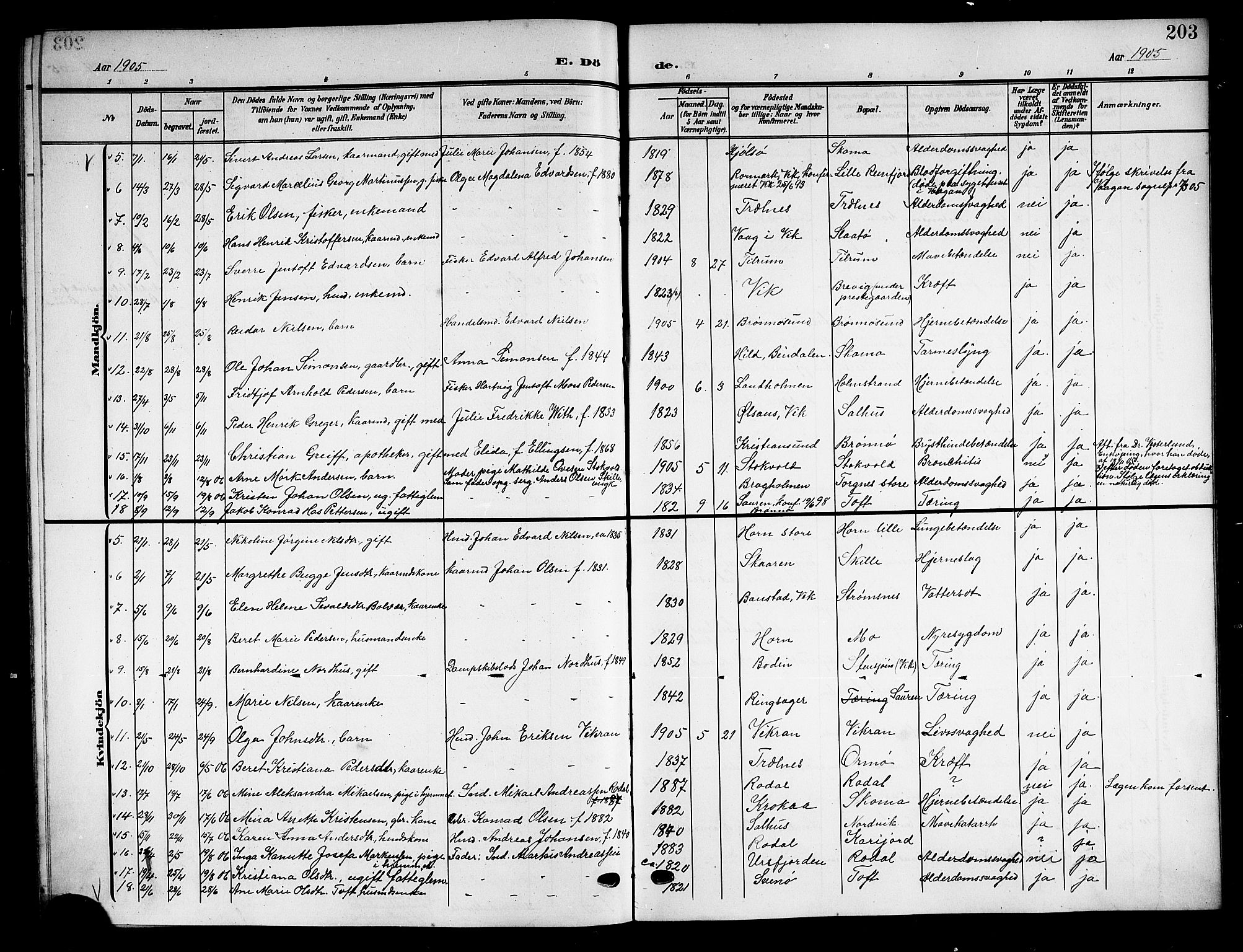 Ministerialprotokoller, klokkerbøker og fødselsregistre - Nordland, SAT/A-1459/813/L0214: Parish register (copy) no. 813C06, 1904-1917, p. 203