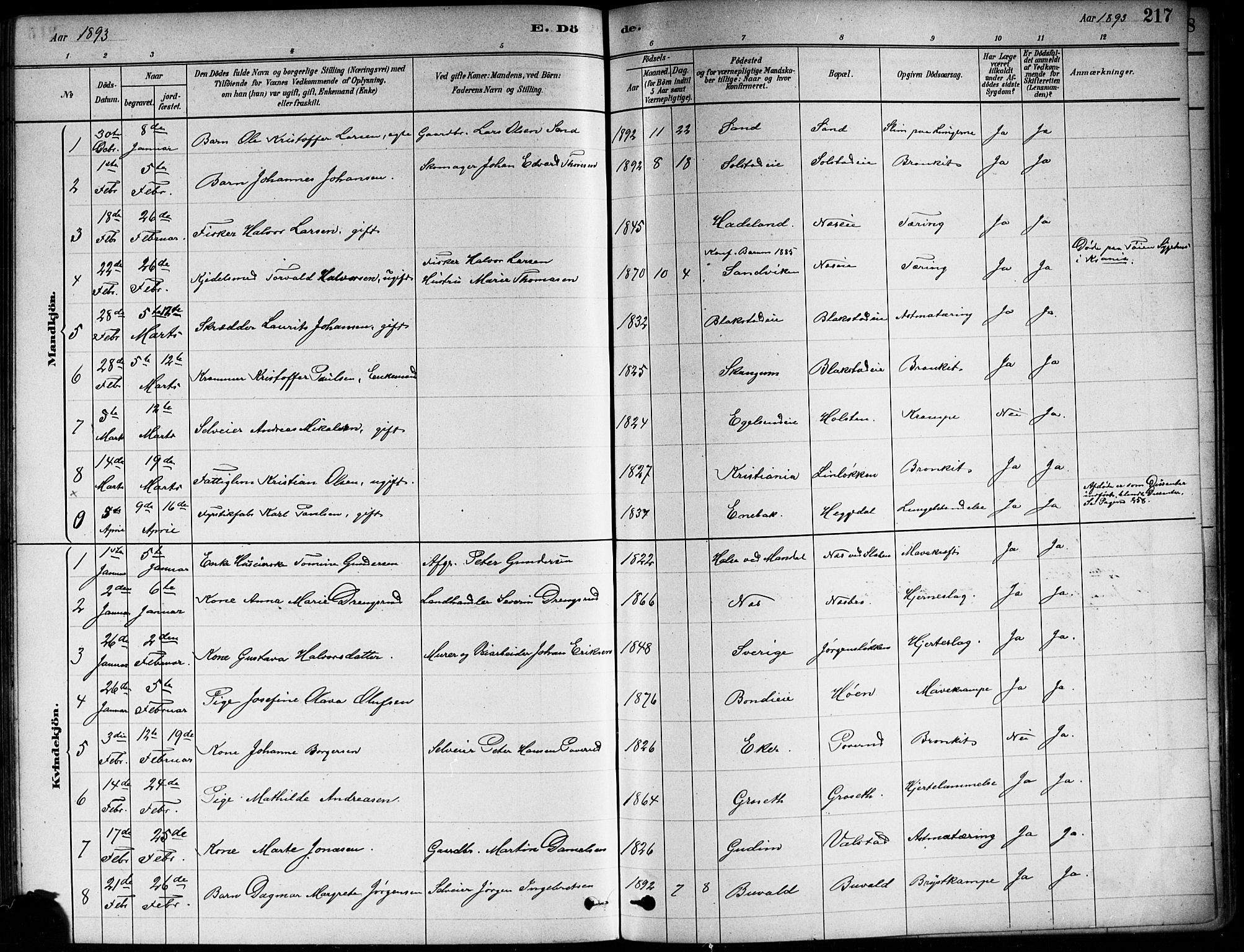 Asker prestekontor Kirkebøker, SAO/A-10256a/F/Fa/L0013: Parish register (official) no. I 13, 1879-1896, p. 217