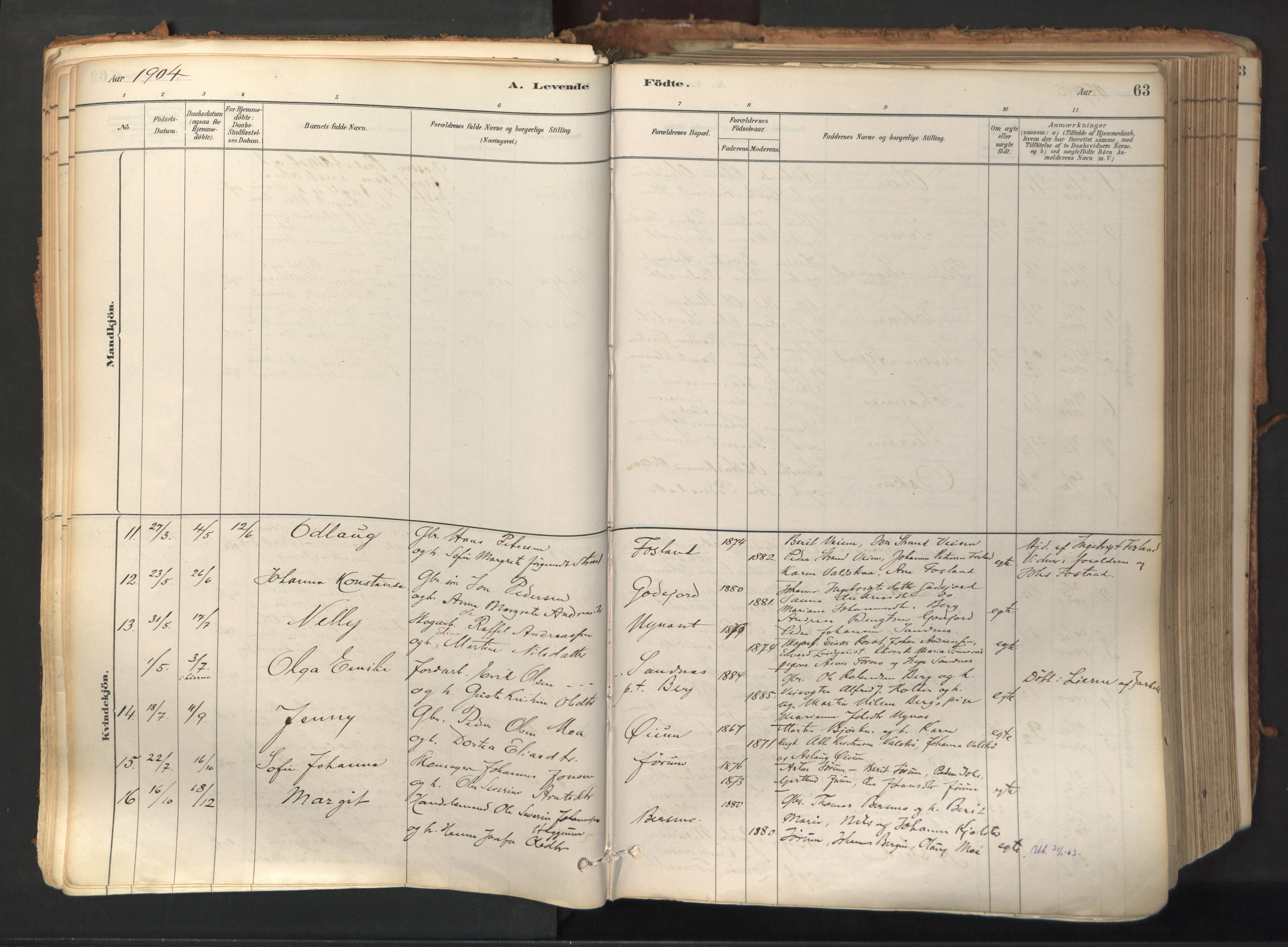 Ministerialprotokoller, klokkerbøker og fødselsregistre - Nord-Trøndelag, SAT/A-1458/758/L0519: Parish register (official) no. 758A04, 1880-1926, p. 63
