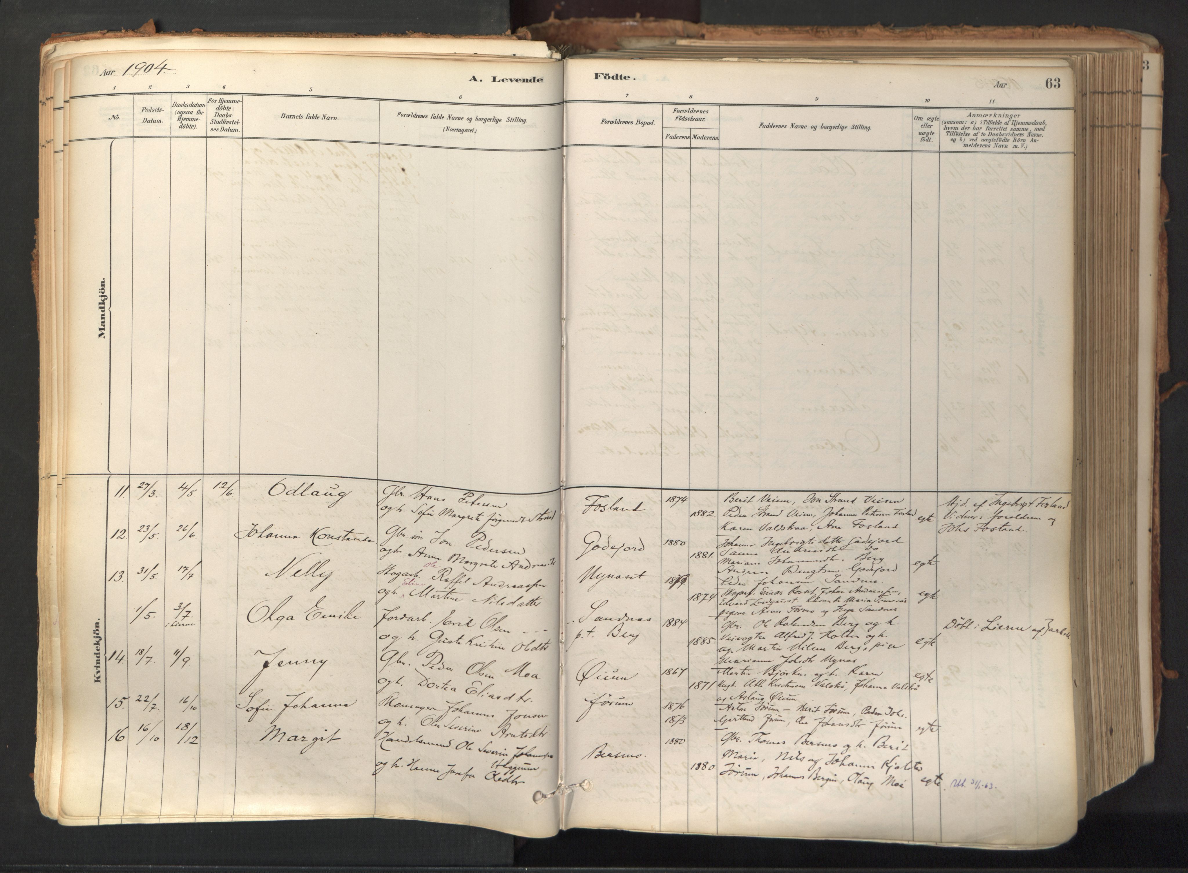 Ministerialprotokoller, klokkerbøker og fødselsregistre - Nord-Trøndelag, AV/SAT-A-1458/758/L0519: Parish register (official) no. 758A04, 1880-1926, p. 63