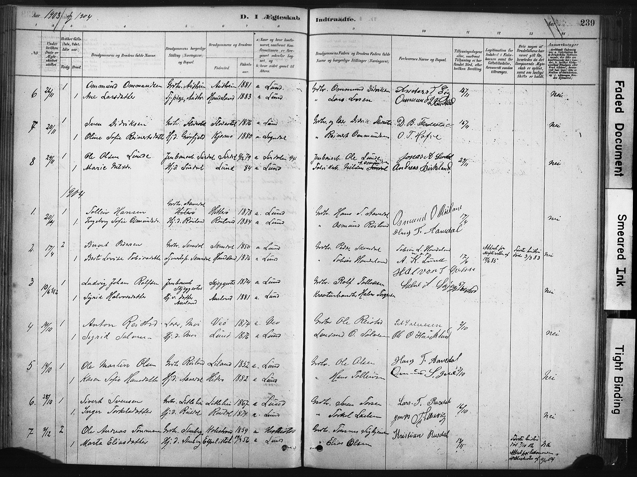 Lund sokneprestkontor, AV/SAST-A-101809/S06/L0011: Parish register (official) no. A 10, 1877-1904, p. 239