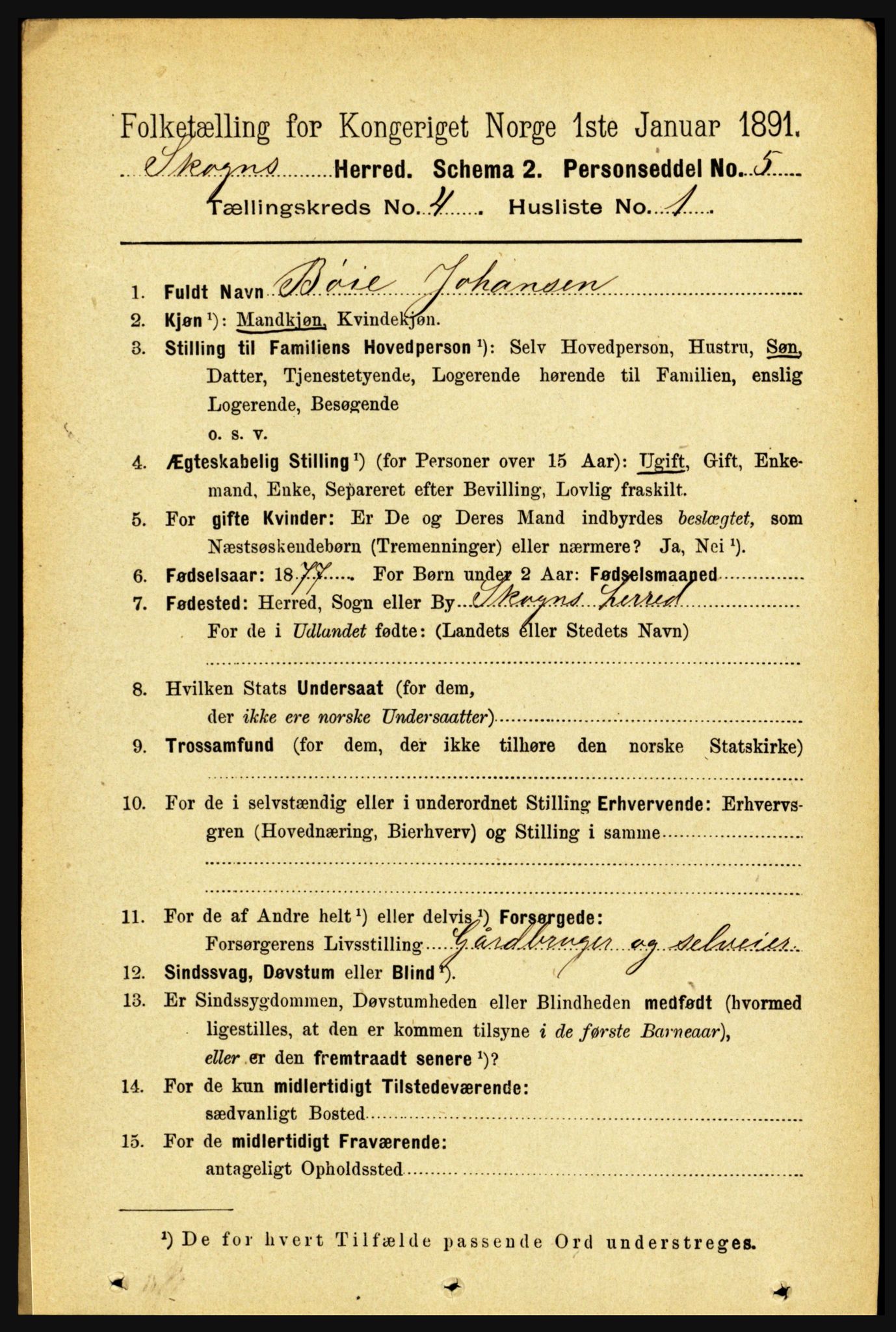 RA, 1891 census for 1719 Skogn, 1891, p. 2363