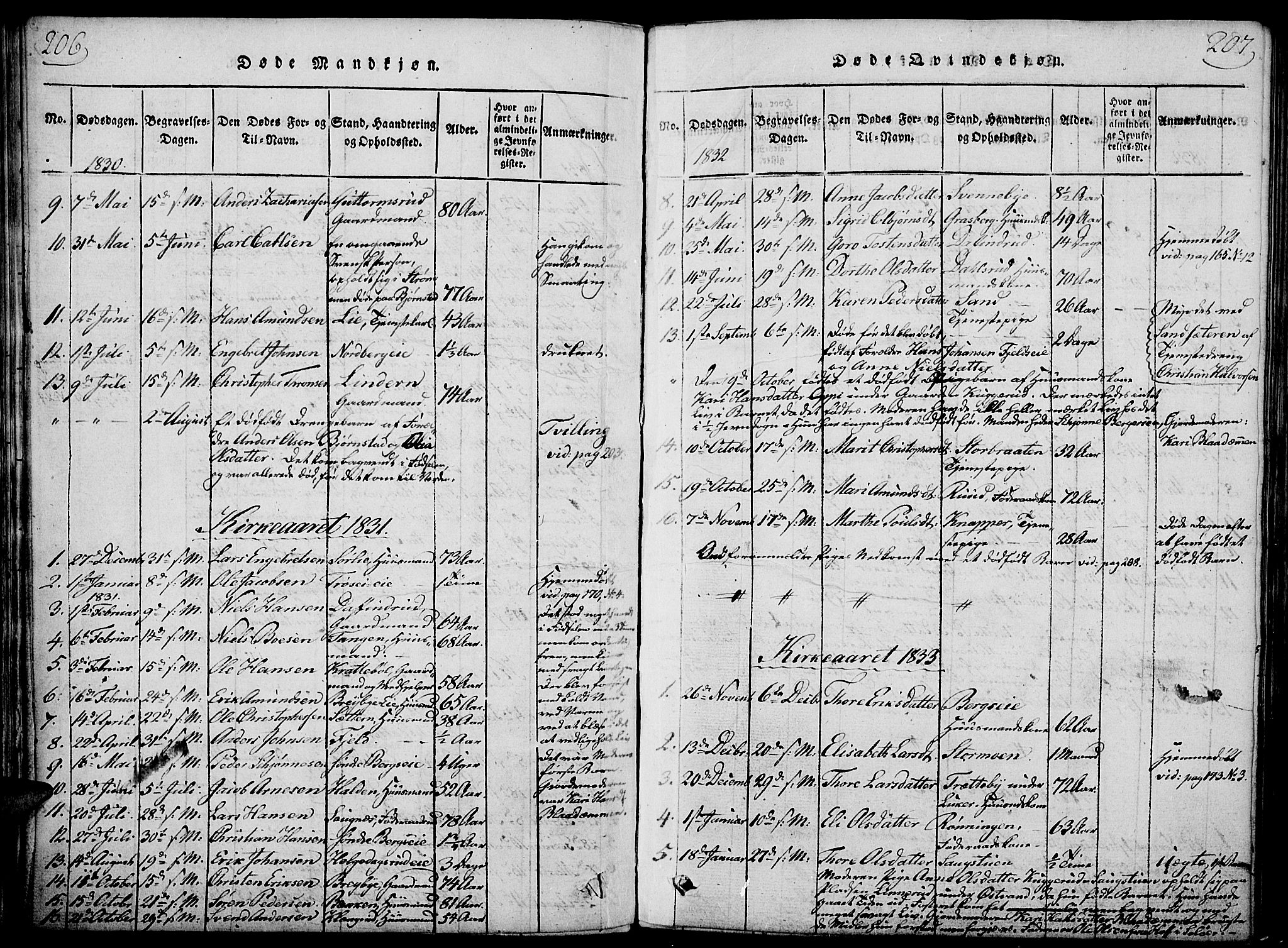 Nord-Odal prestekontor, AV/SAH-PREST-032/H/Ha/Haa/L0001: Parish register (official) no. 1, 1819-1838, p. 206-207