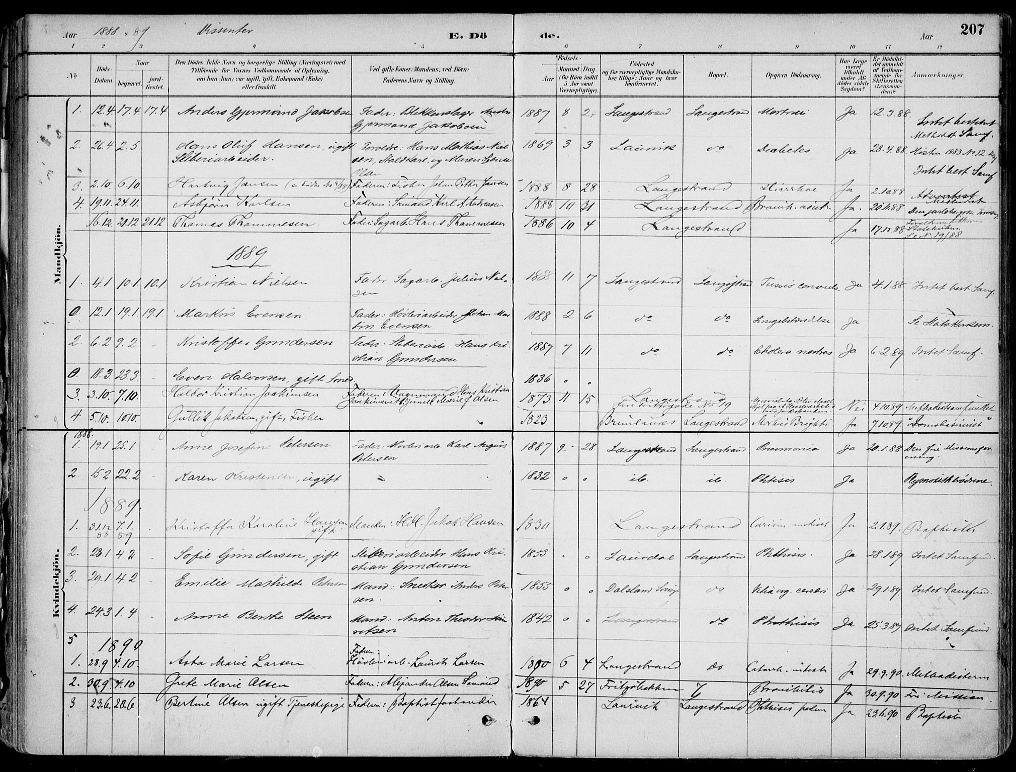 Larvik kirkebøker, AV/SAKO-A-352/F/Fb/L0004: Parish register (official) no. II 4, 1884-1902, p. 207