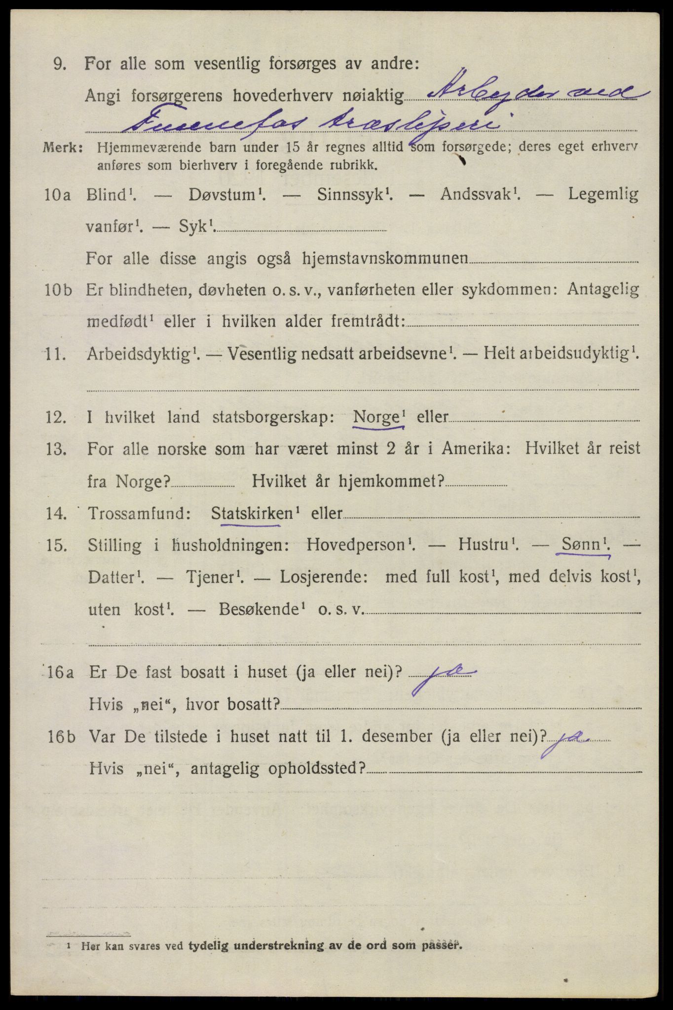 SAO, 1920 census for Nes, 1920, p. 7117