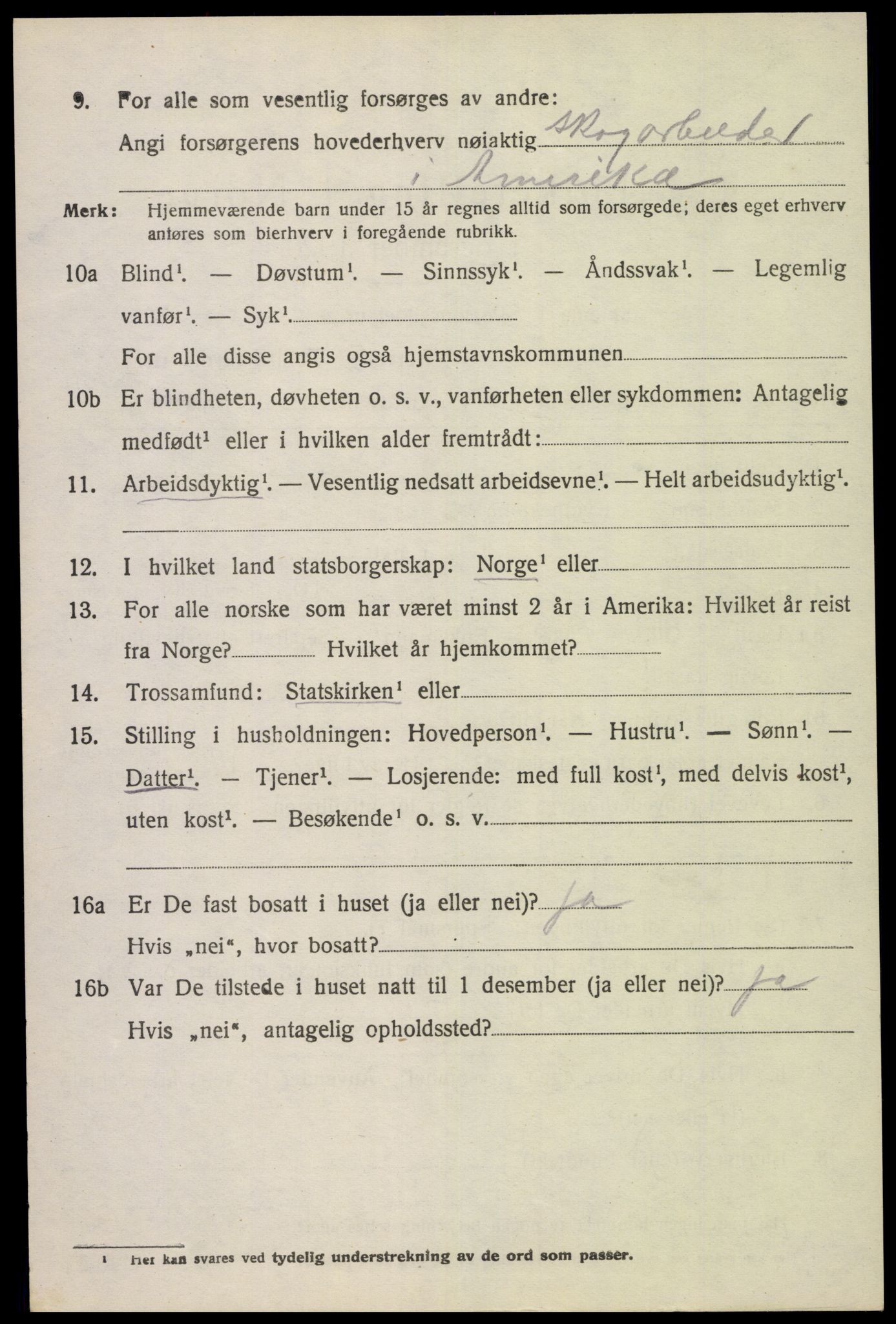 SAK, 1920 census for Nes (V-A), 1920, p. 4817