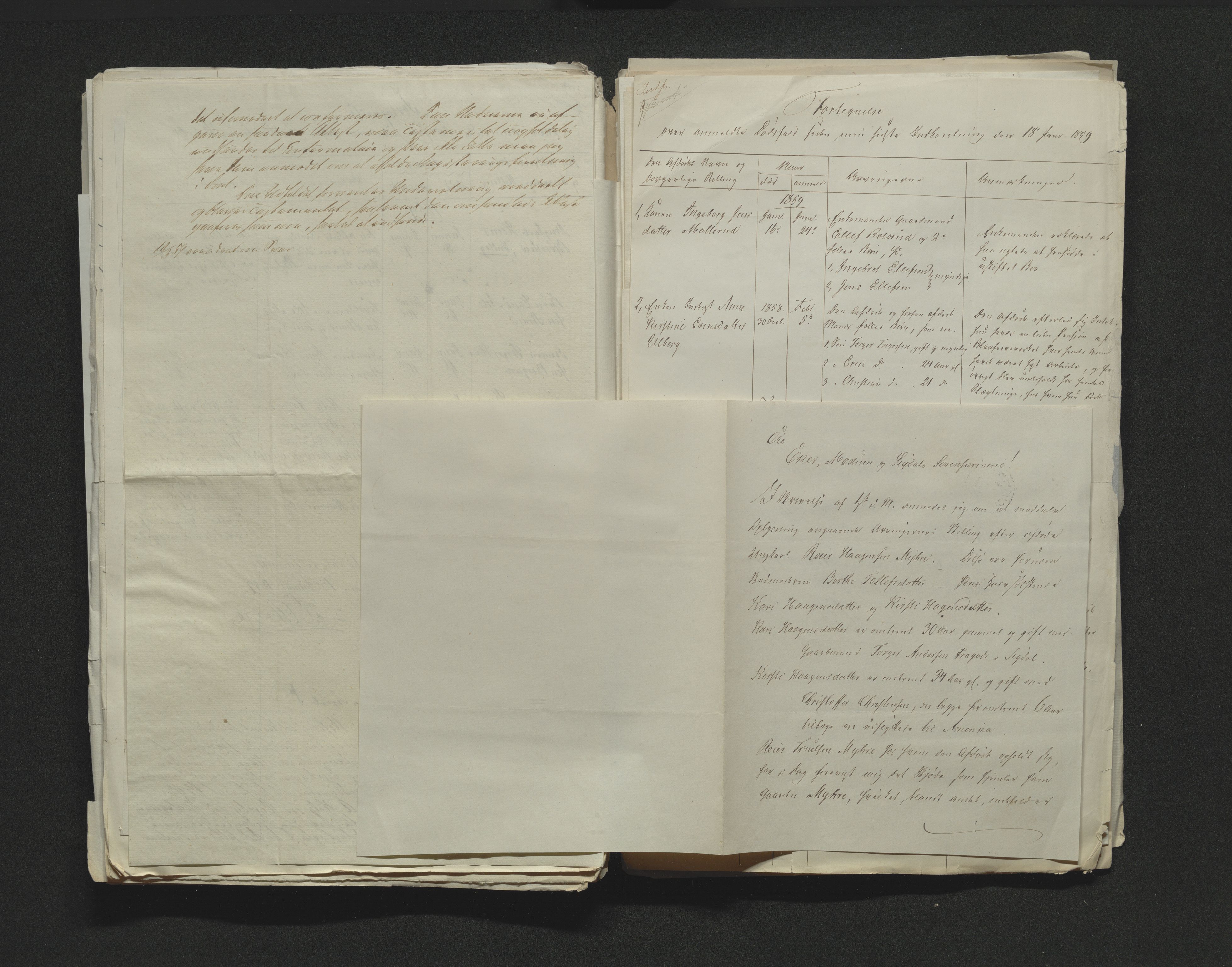 Eiker, Modum og Sigdal sorenskriveri, AV/SAKO-A-123/H/Ha/Hab/L0010: Dødsfallsmeldinger, 1858-1861, p. 200