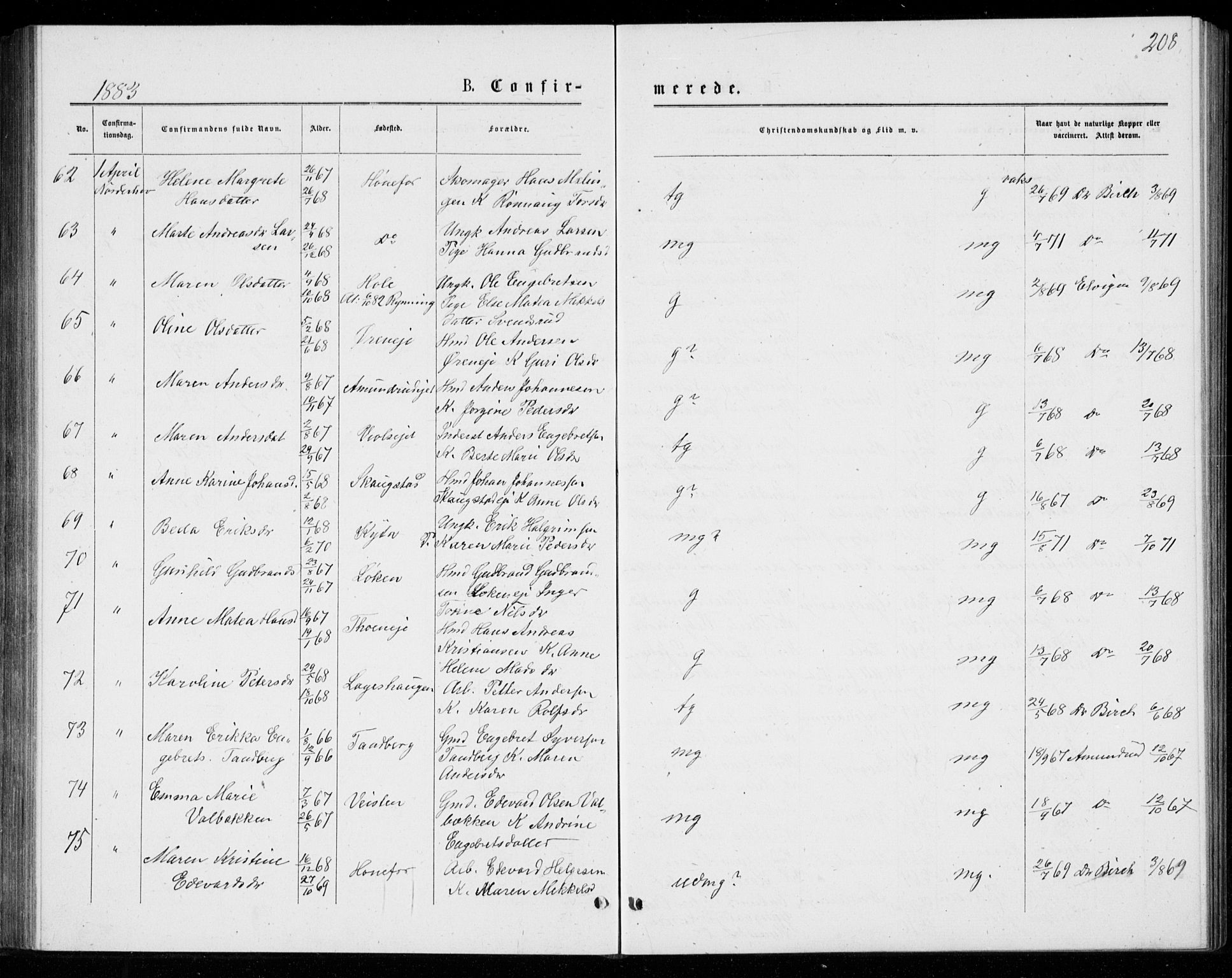 Norderhov kirkebøker, AV/SAKO-A-237/G/Ga/L0007: Parish register (copy) no. I 7, 1877-1887, p. 208