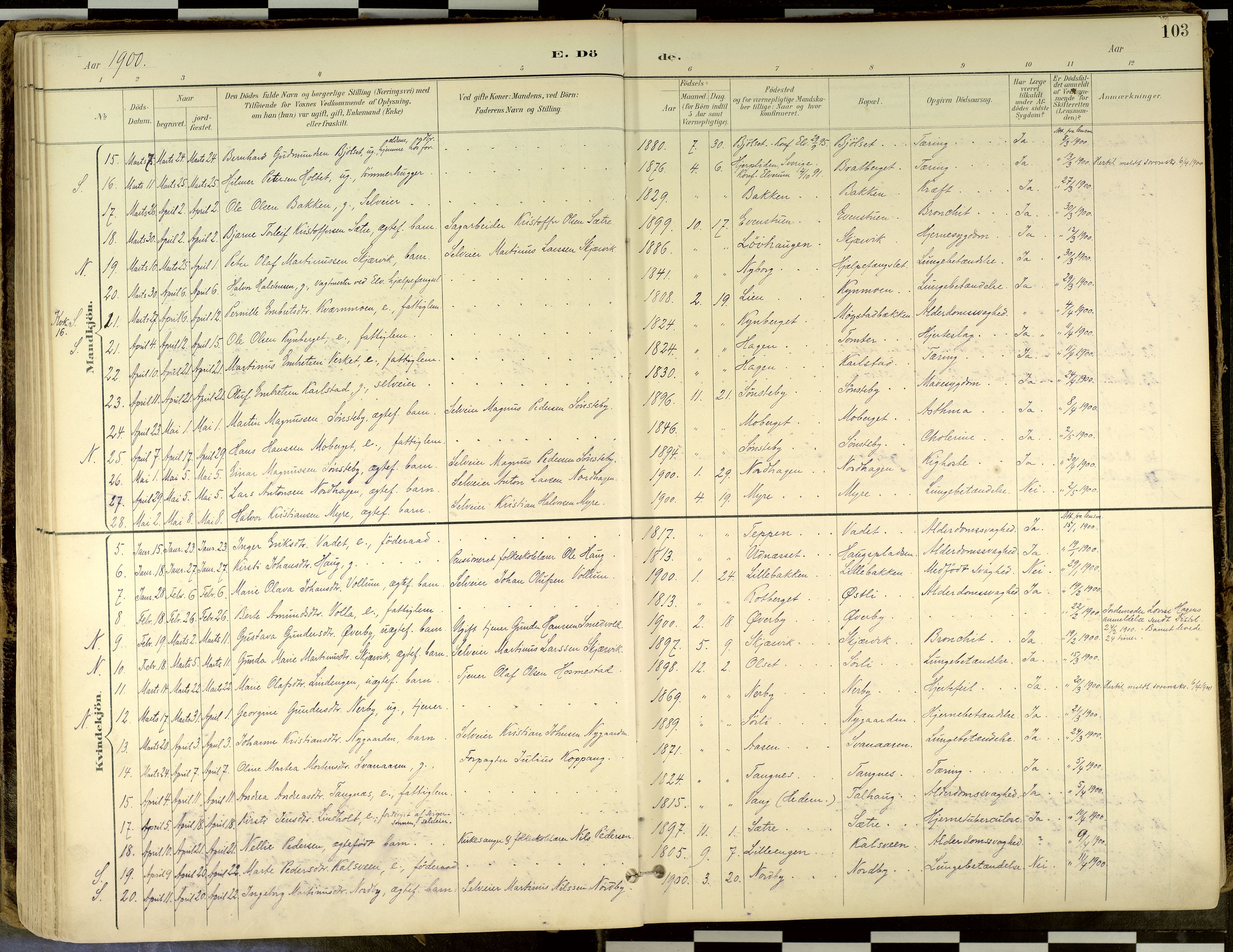 Elverum prestekontor, SAH/PREST-044/H/Ha/Haa/L0018: Parish register (official) no. 18, 1894-1914, p. 103