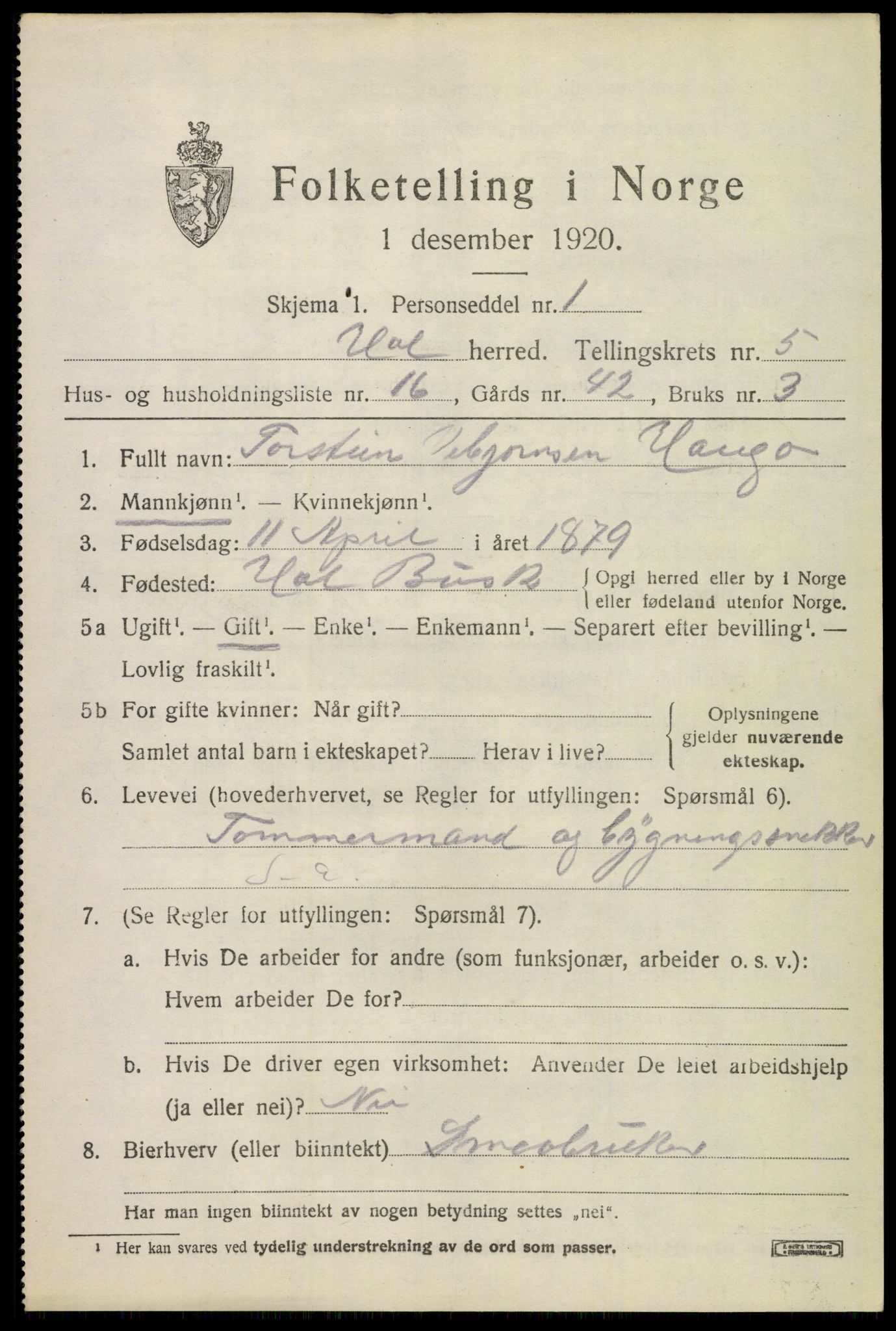 SAKO, 1920 census for Hol (Buskerud), 1920, p. 2921