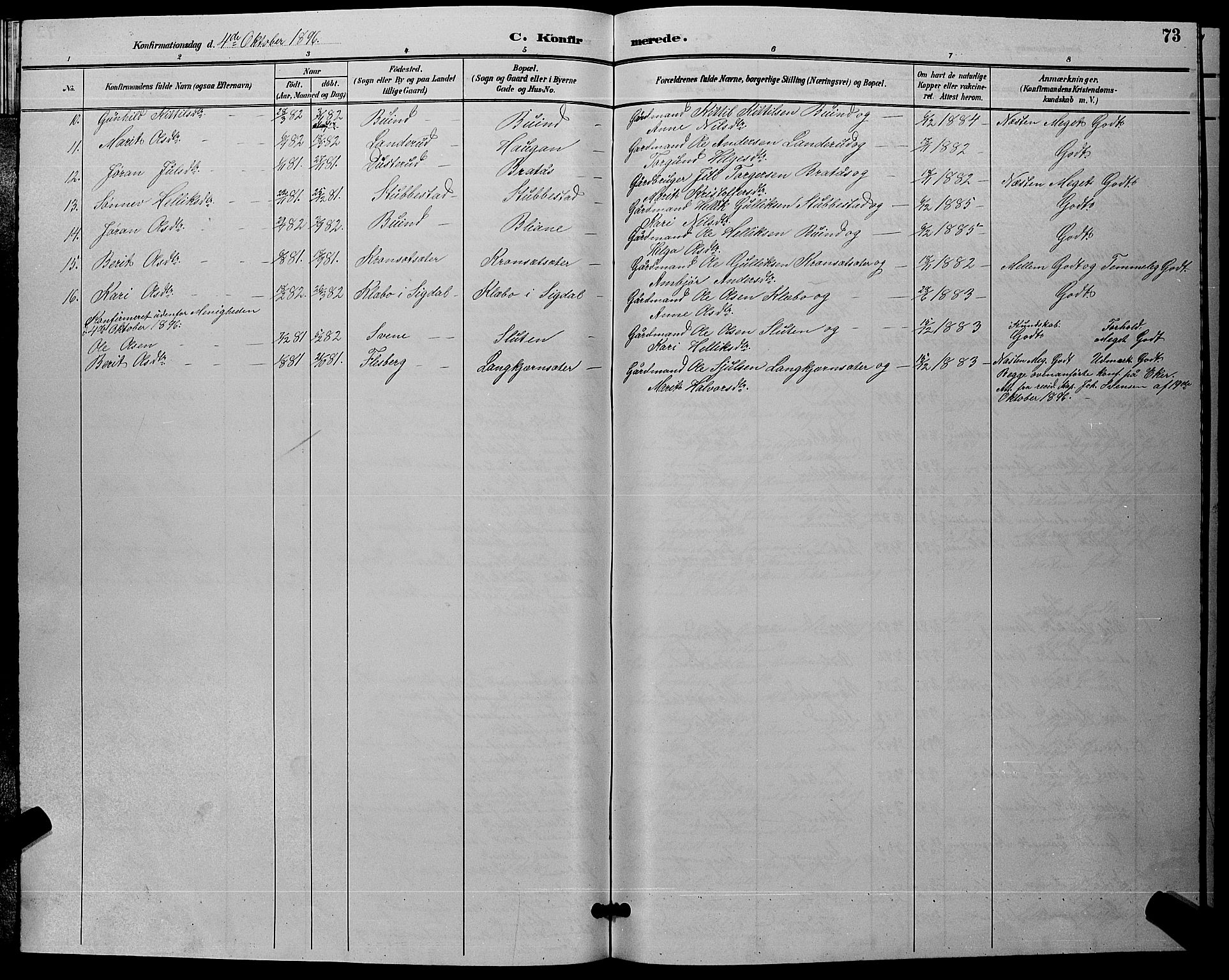 Flesberg kirkebøker, AV/SAKO-A-18/G/Ga/L0004: Parish register (copy) no. I 4 /1, 1890-1898, p. 73