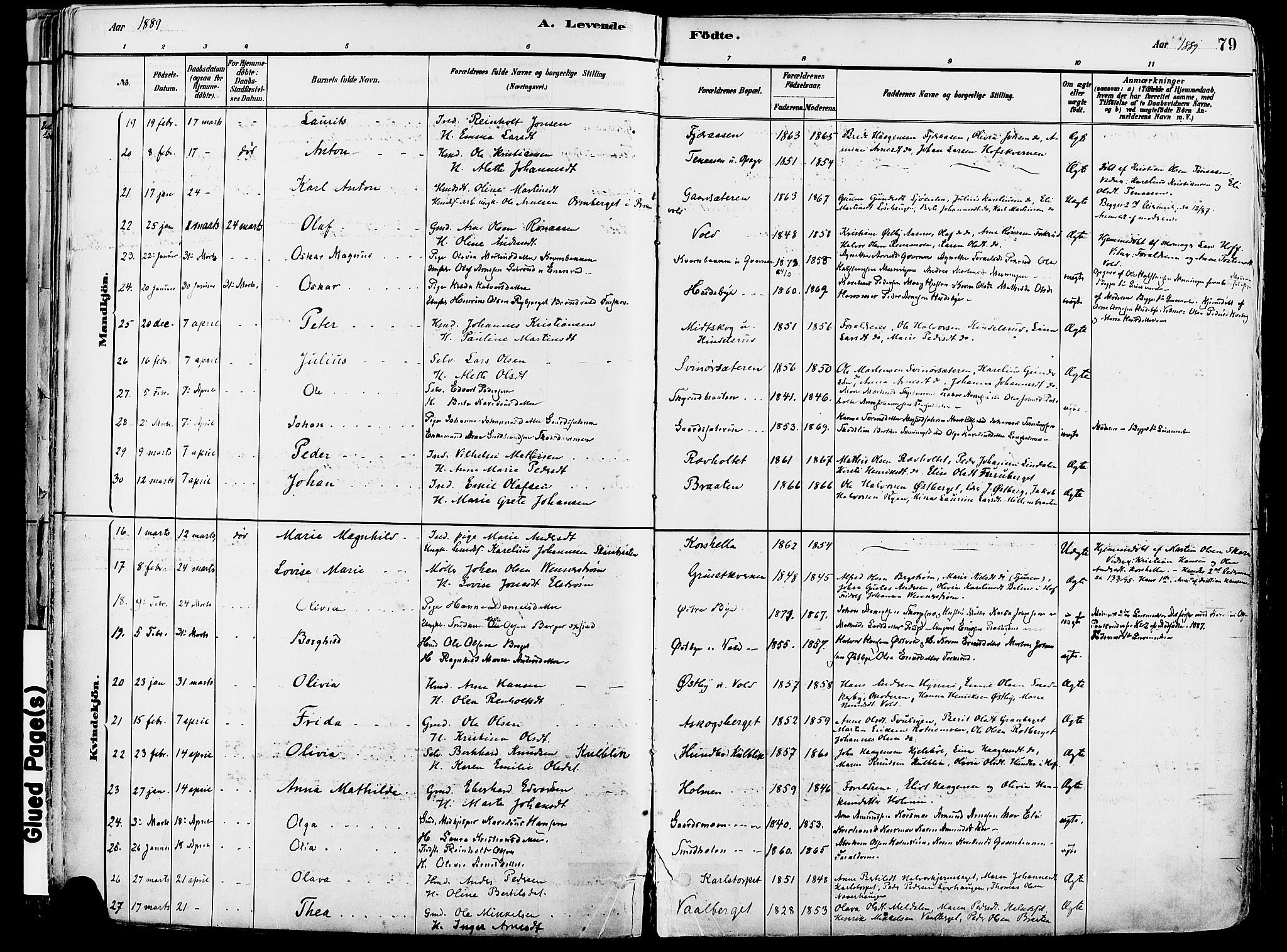 Grue prestekontor, AV/SAH-PREST-036/H/Ha/Haa/L0012: Parish register (official) no. 12, 1881-1897, p. 79