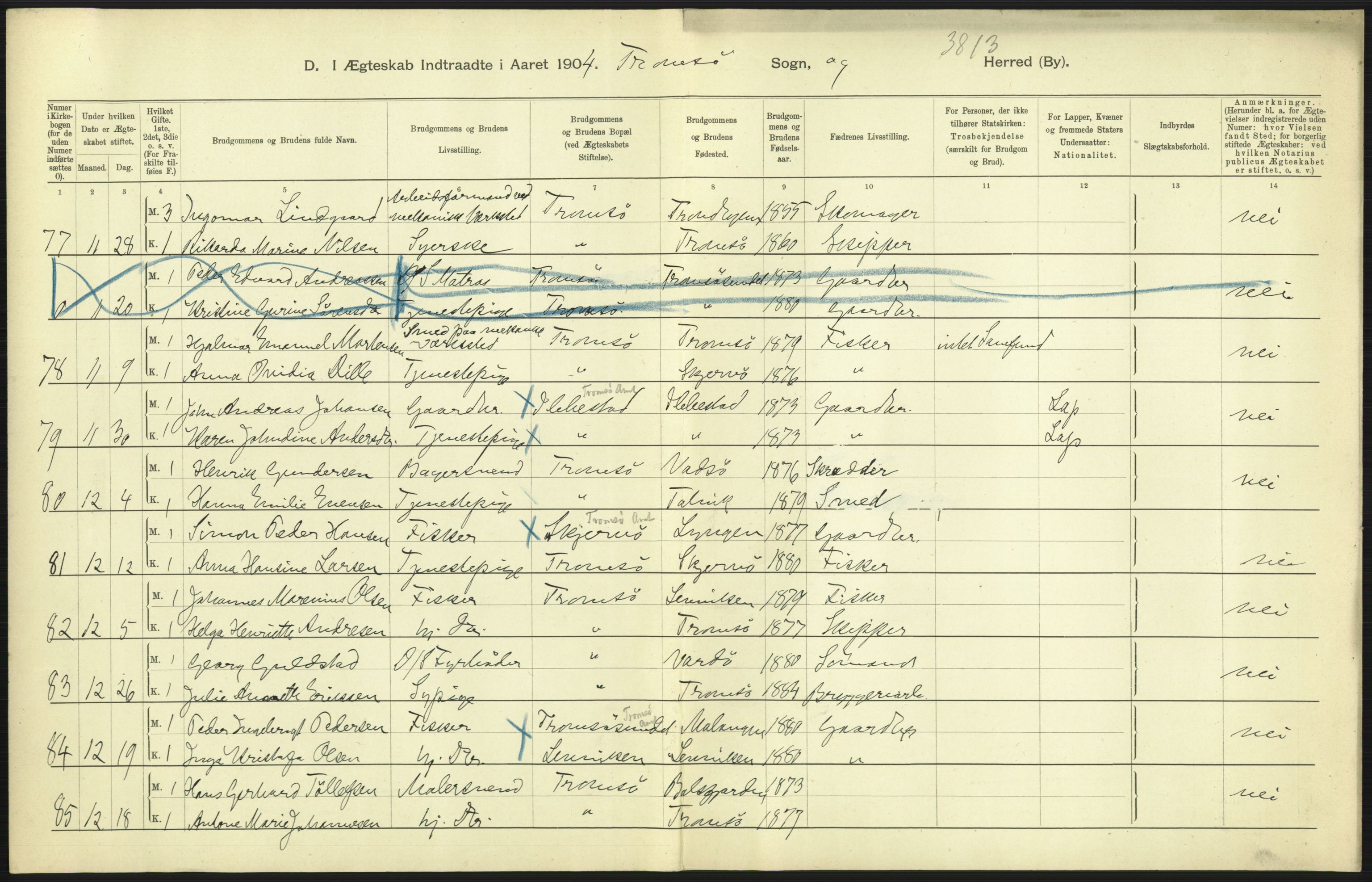 Statistisk sentralbyrå, Sosiodemografiske emner, Befolkning, AV/RA-S-2228/D/Df/Dfa/Dfab/L0022: Tromsø amt: Fødte, gifte, døde, 1904, p. 375