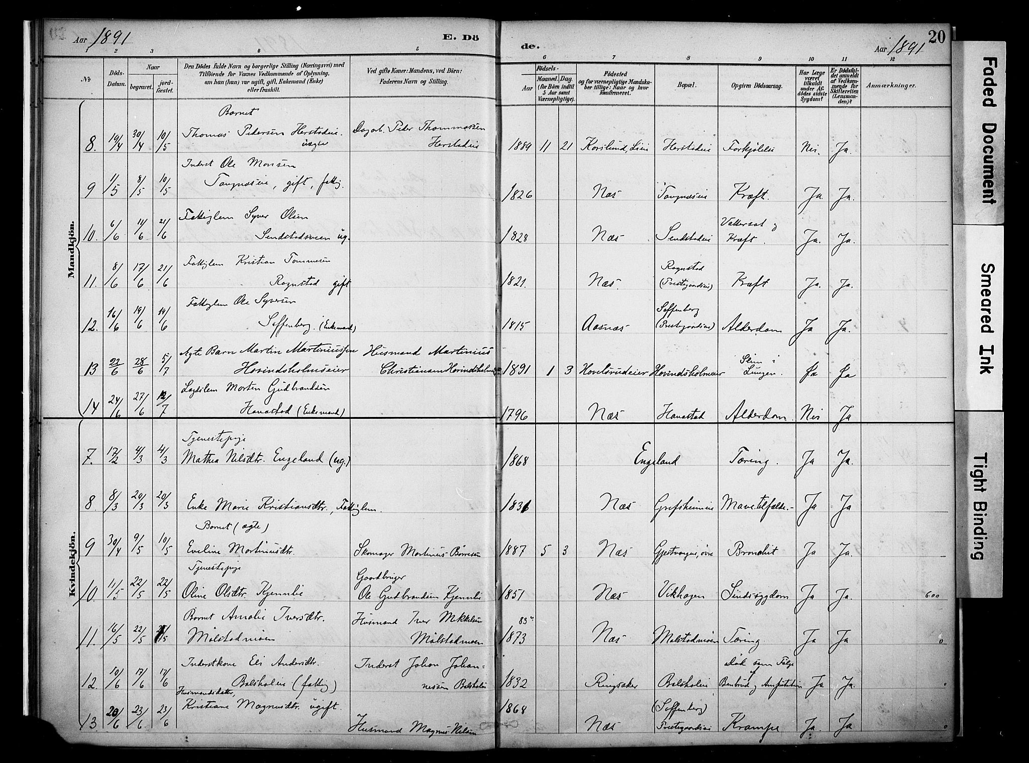 Nes prestekontor, Hedmark, AV/SAH-PREST-020/K/Ka/L0011: Parish register (official) no. 11, 1887-1905, p. 20