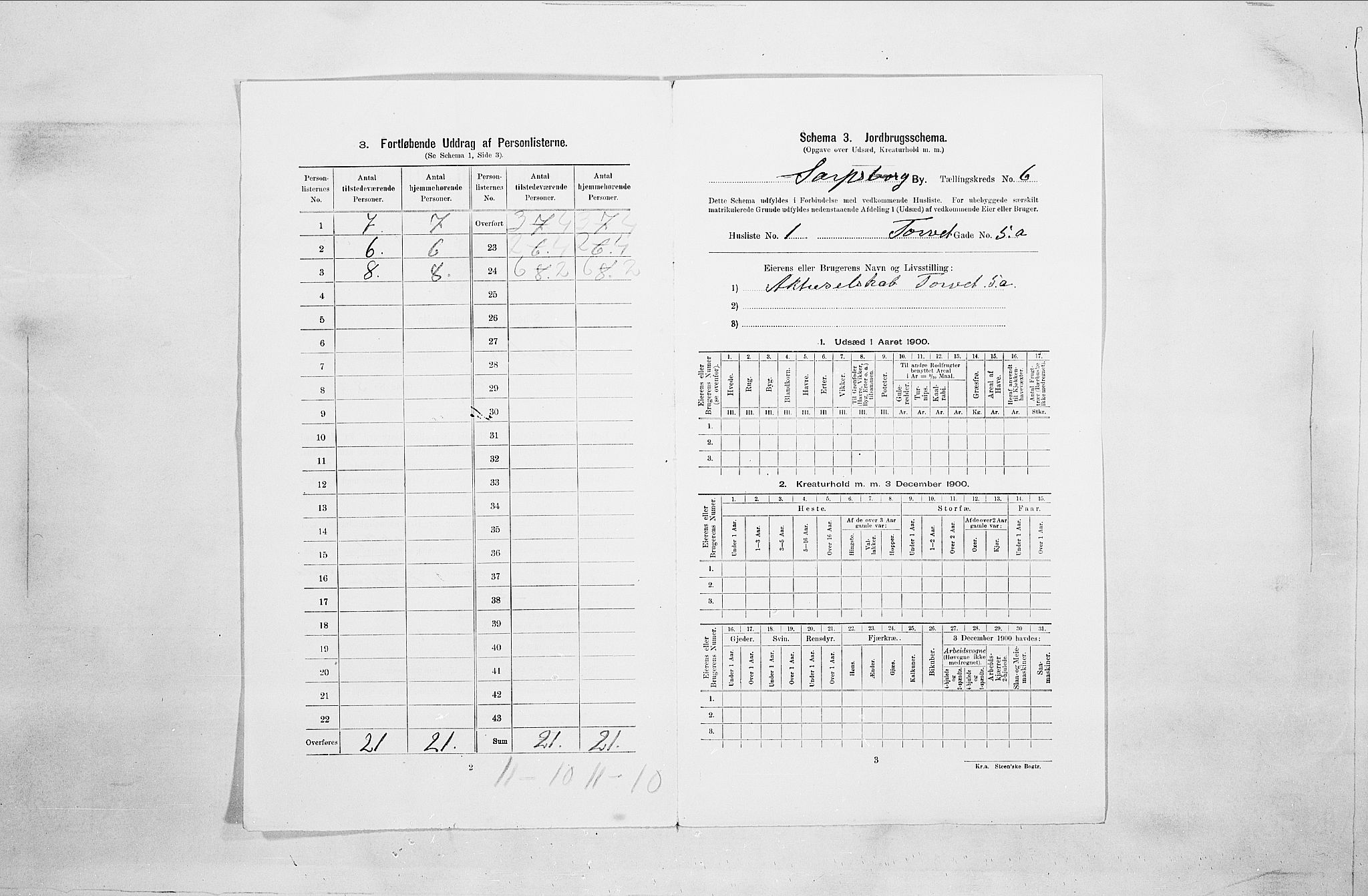 SAO, 1900 census for Sarpsborg, 1900