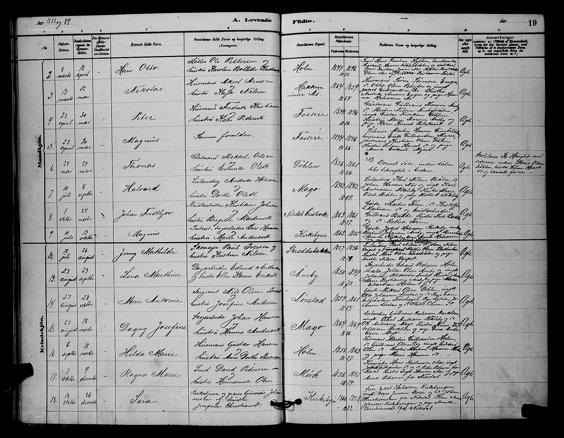 Nittedal prestekontor Kirkebøker, SAO/A-10365a/G/Gb/L0002: Parish register (copy) no. II 2, 1879-1901, p. 19