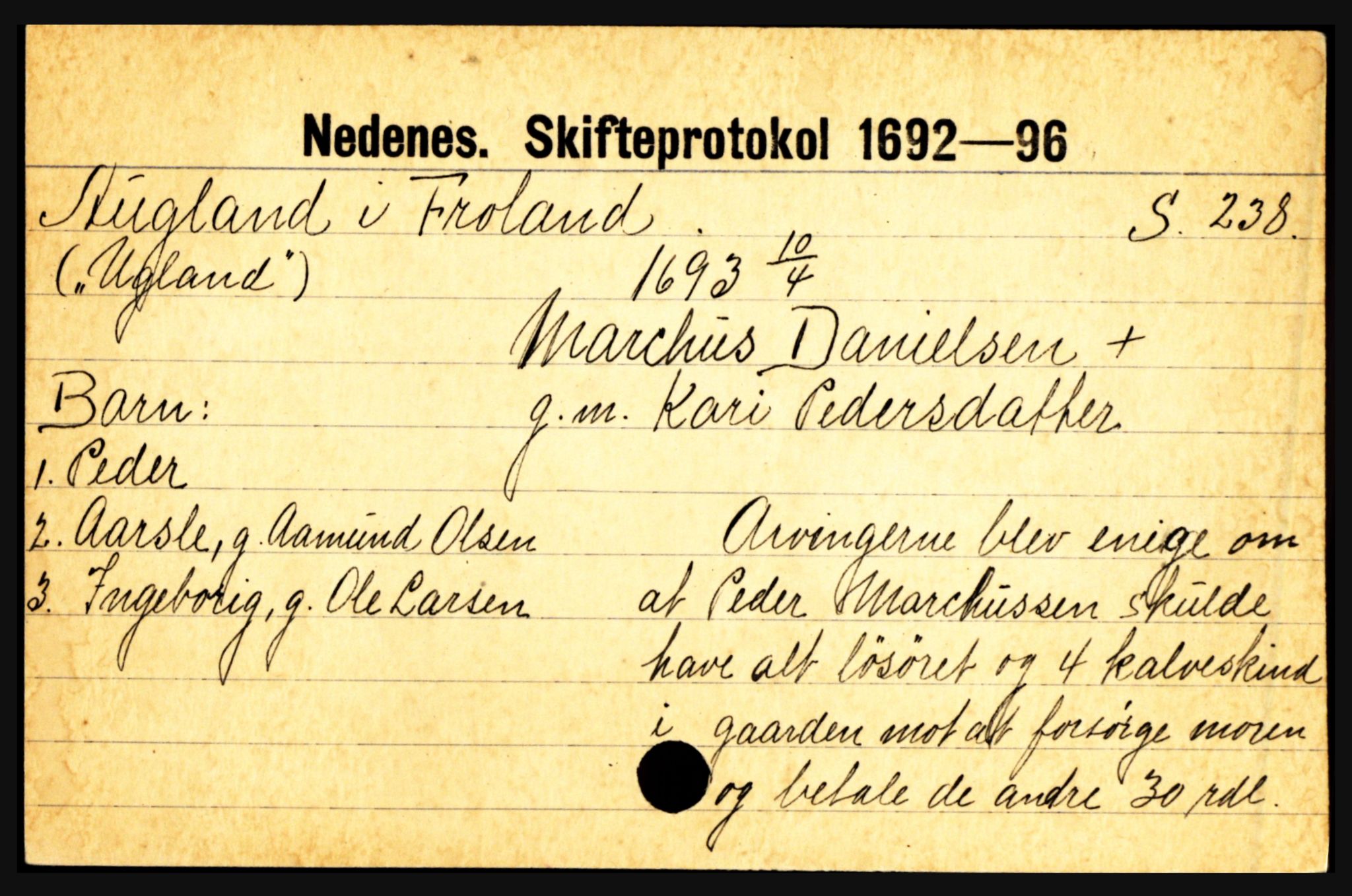 Nedenes sorenskriveri før 1824, AV/SAK-1221-0007/H, p. 1391
