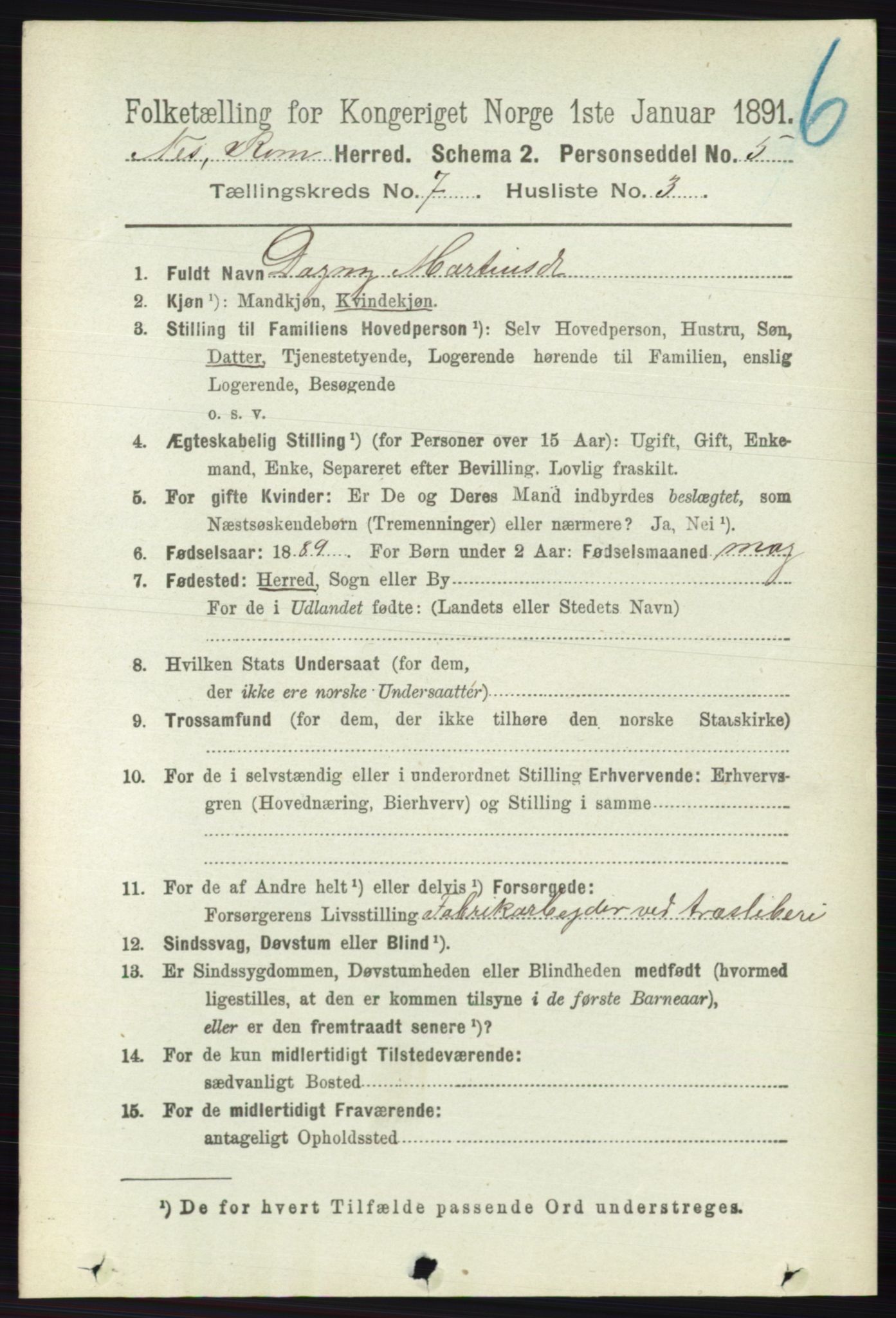 RA, 1891 census for 0236 Nes, 1891, p. 4041