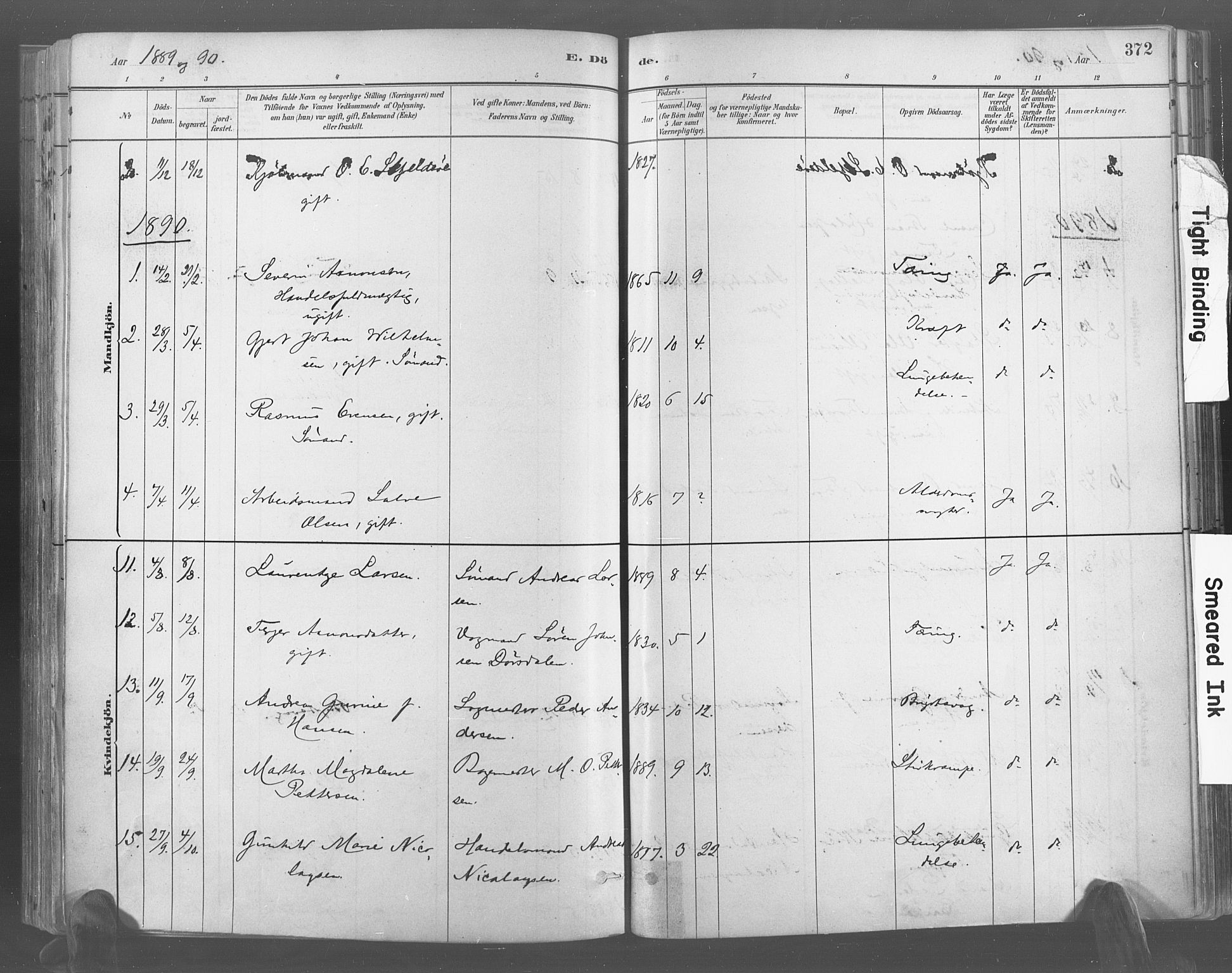 Risør sokneprestkontor, AV/SAK-1111-0035/F/Fa/L0005: Parish register (official) no. A 5, 1883-1895, p. 372