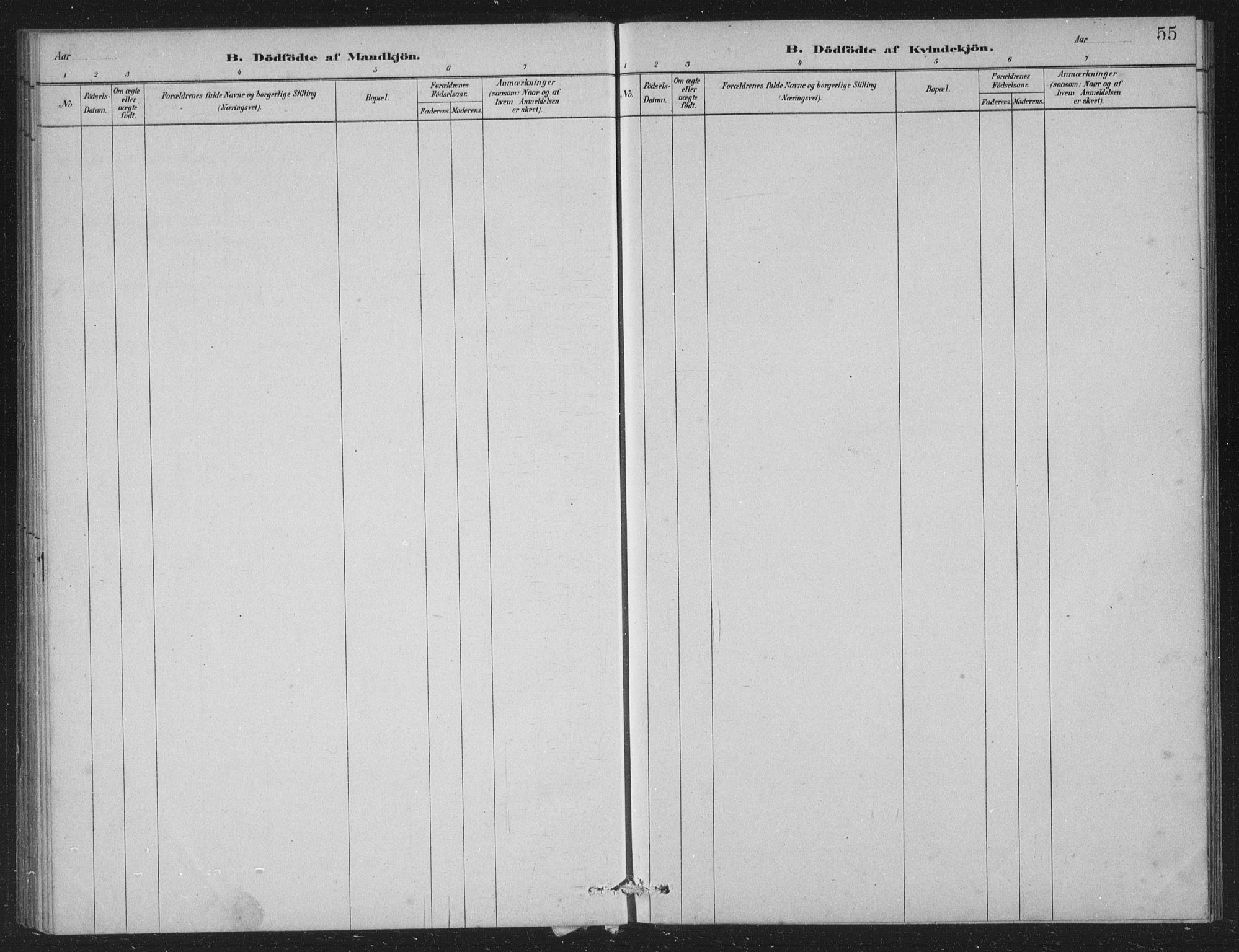 Vossestrand Sokneprestembete, AV/SAB-A-79101/H/Hab: Parish register (copy) no. A 2, 1880-1902, p. 55