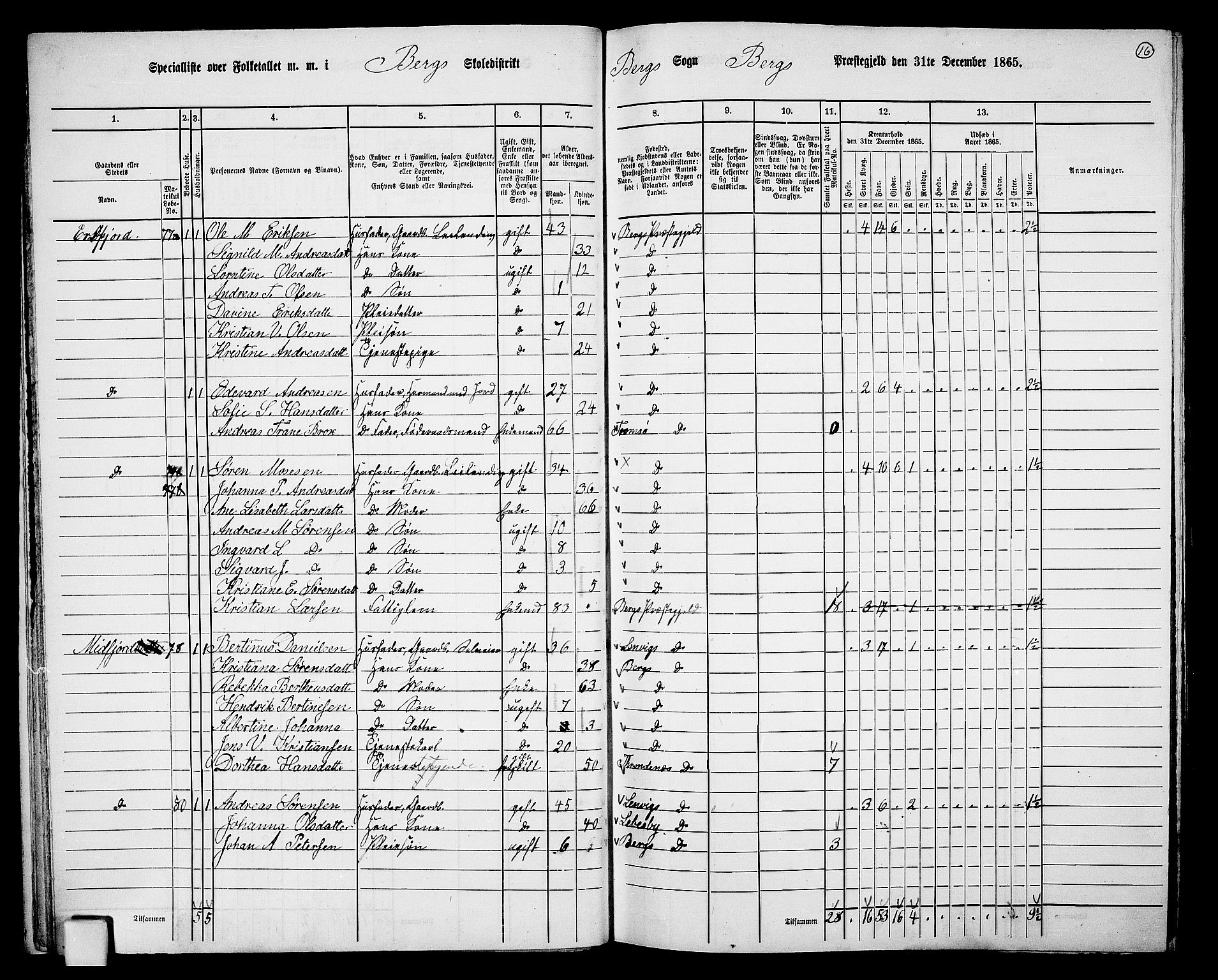 RA, 1865 census for Berg, 1865, p. 17