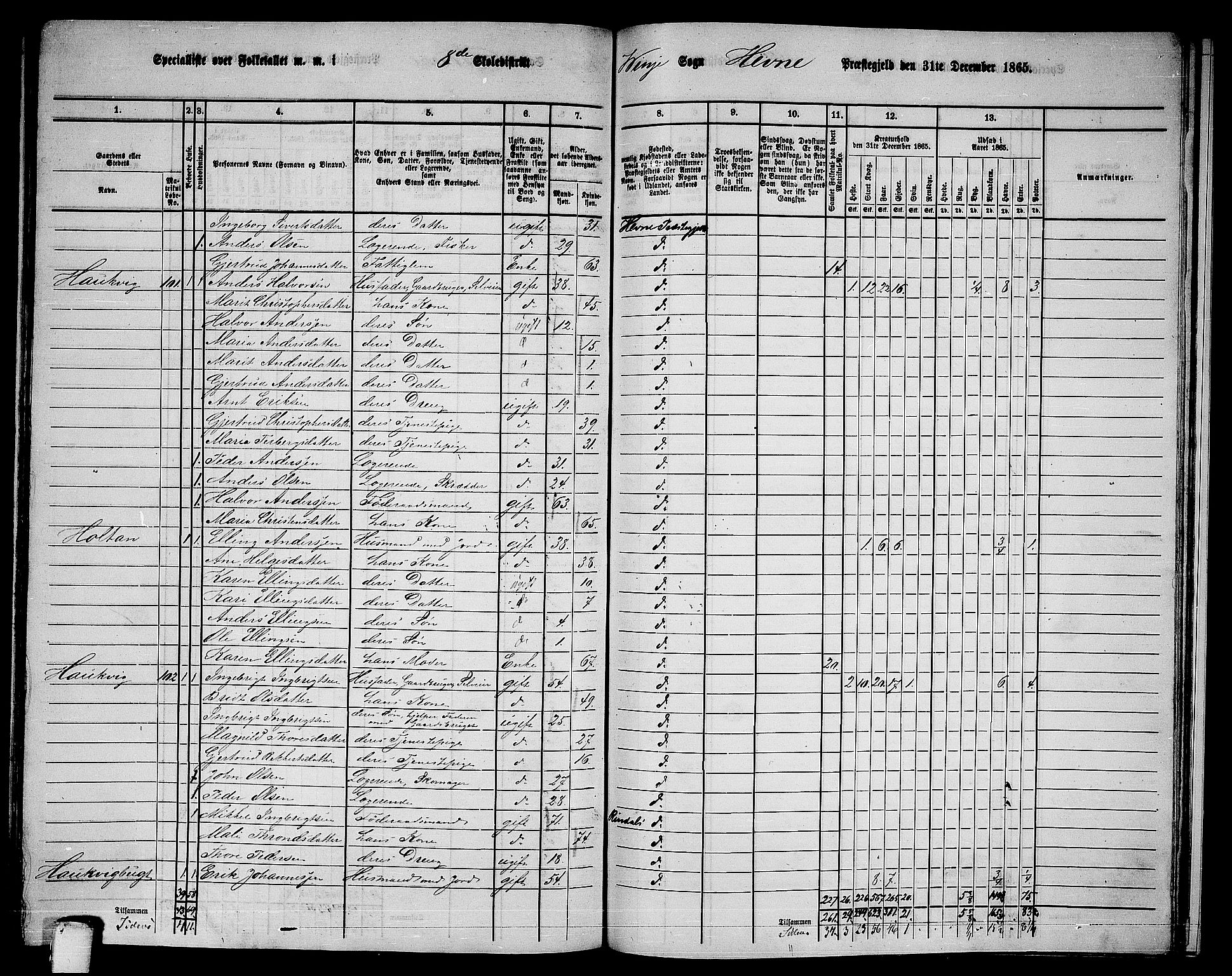 RA, 1865 census for Hemne, 1865, p. 175