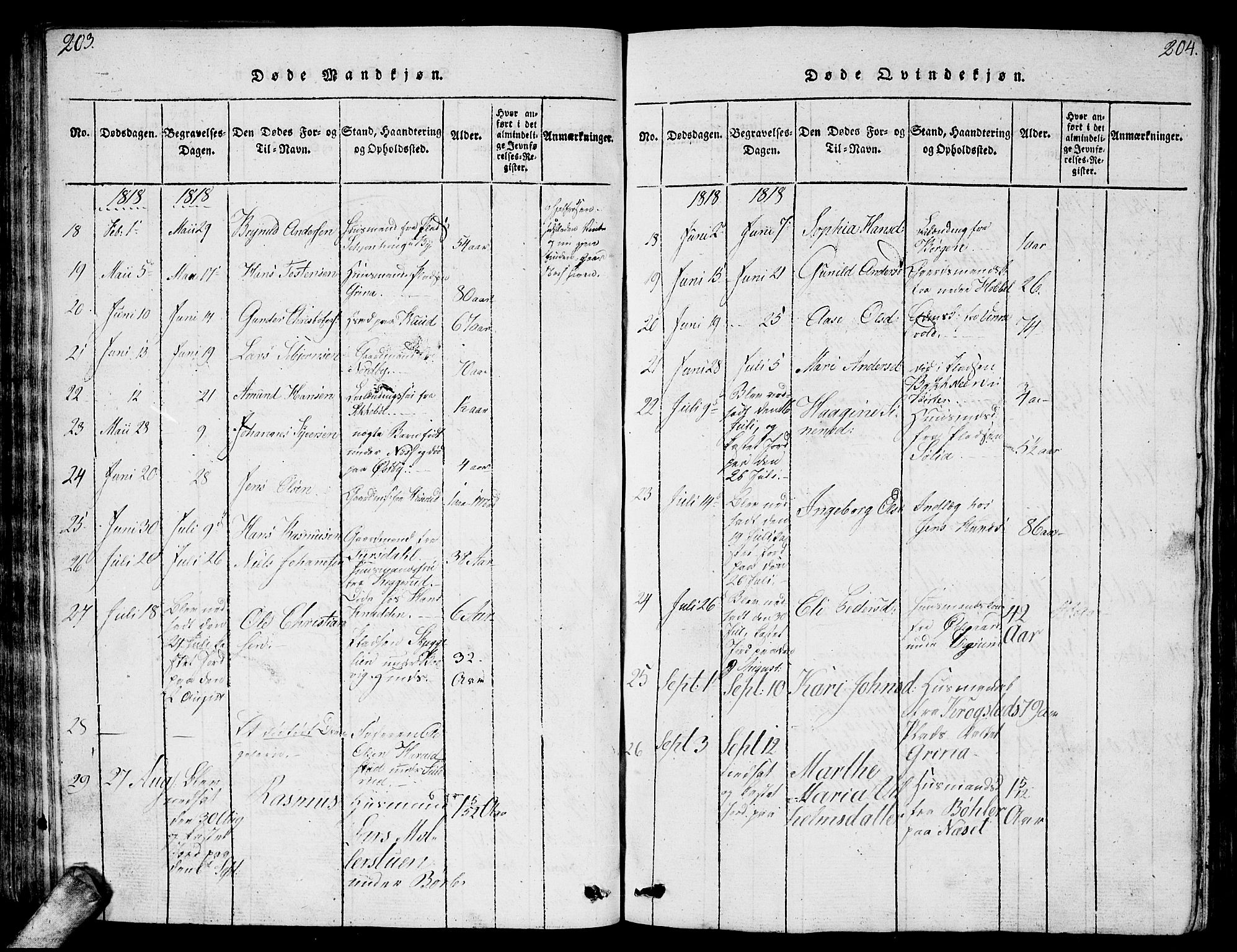 Enebakk prestekontor Kirkebøker, AV/SAO-A-10171c/G/Ga/L0001: Parish register (copy) no. I 1, 1815-1833, p. 203-204