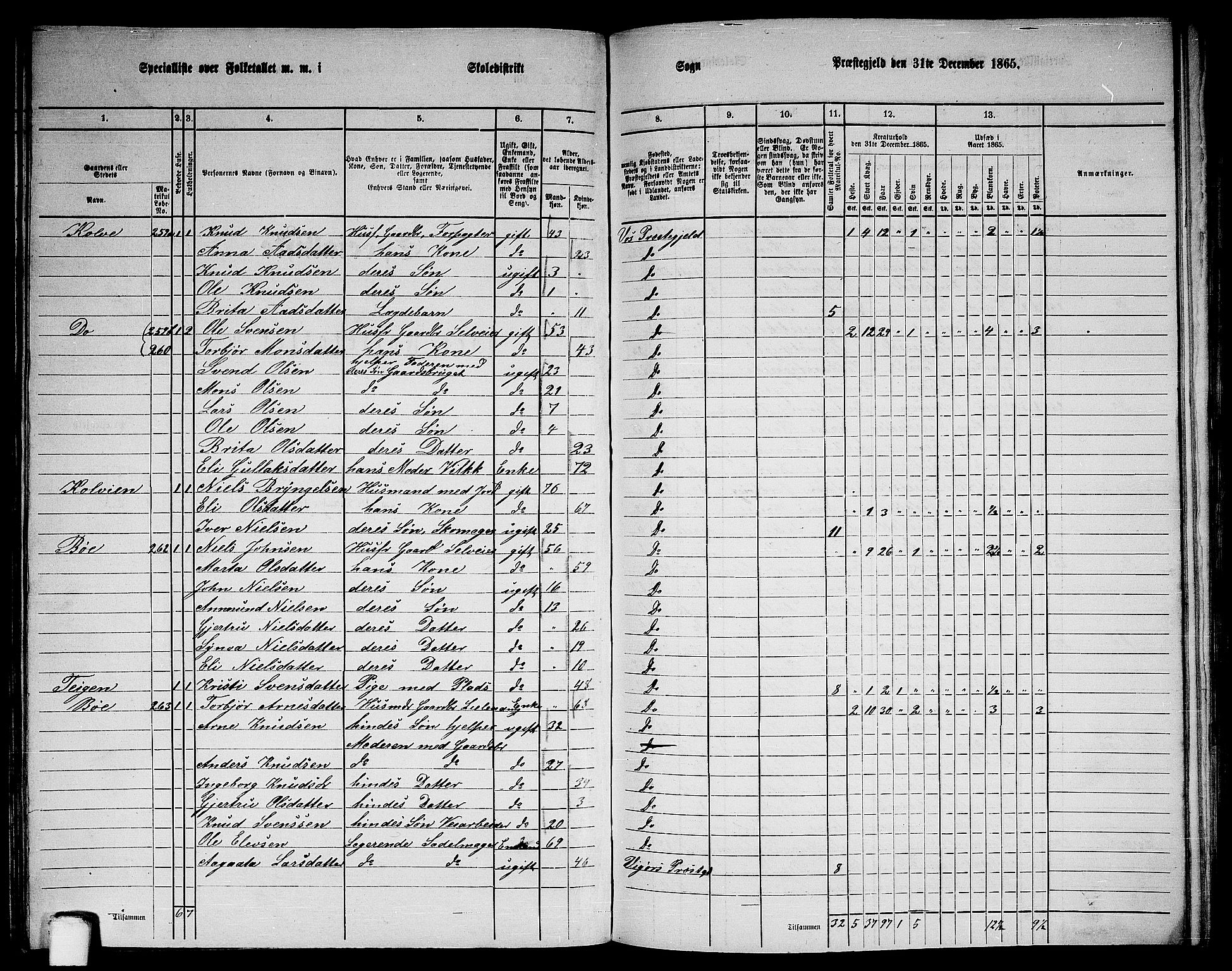 RA, 1865 census for Voss, 1865, p. 137