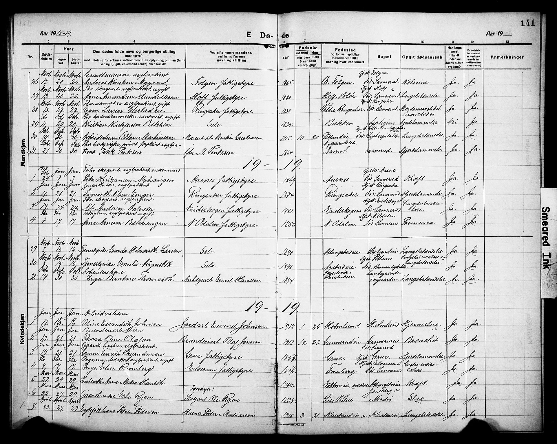 Stange prestekontor, AV/SAH-PREST-002/L/L0015: Parish register (copy) no. 15, 1916-1928, p. 141