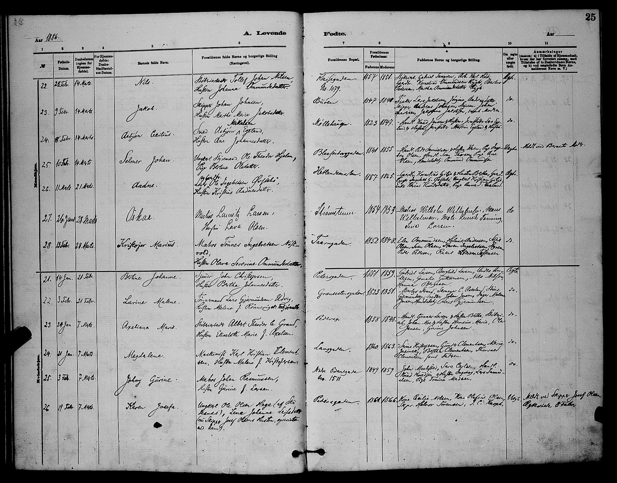 St. Johannes sokneprestkontor, AV/SAST-A-101814/001/30/30BB/L0001: Parish register (copy) no. B 1, 1885-1897, p. 25