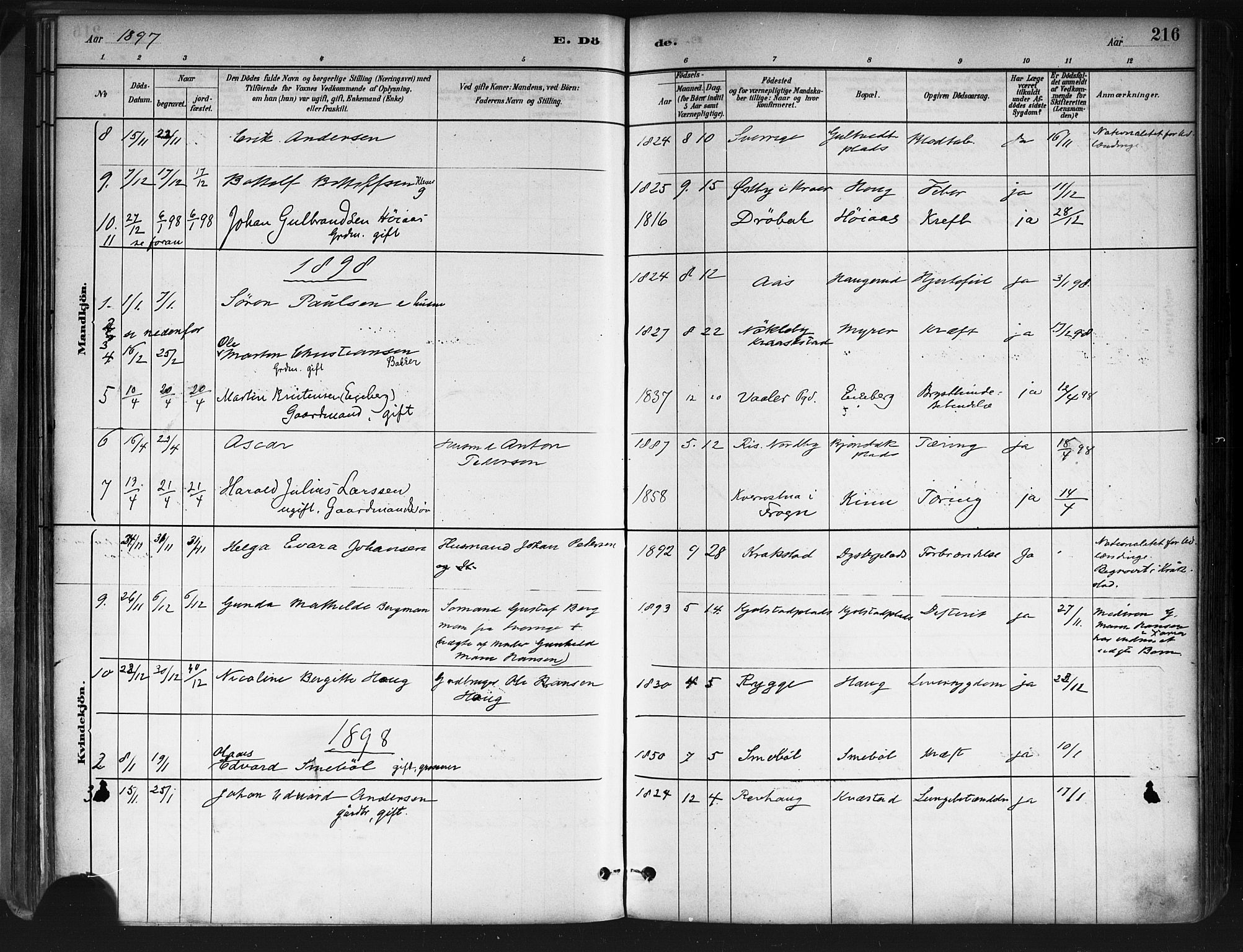 Ås prestekontor Kirkebøker, AV/SAO-A-10894/F/Fa/L0009: Parish register (official) no. I 9, 1881-1900, p. 216