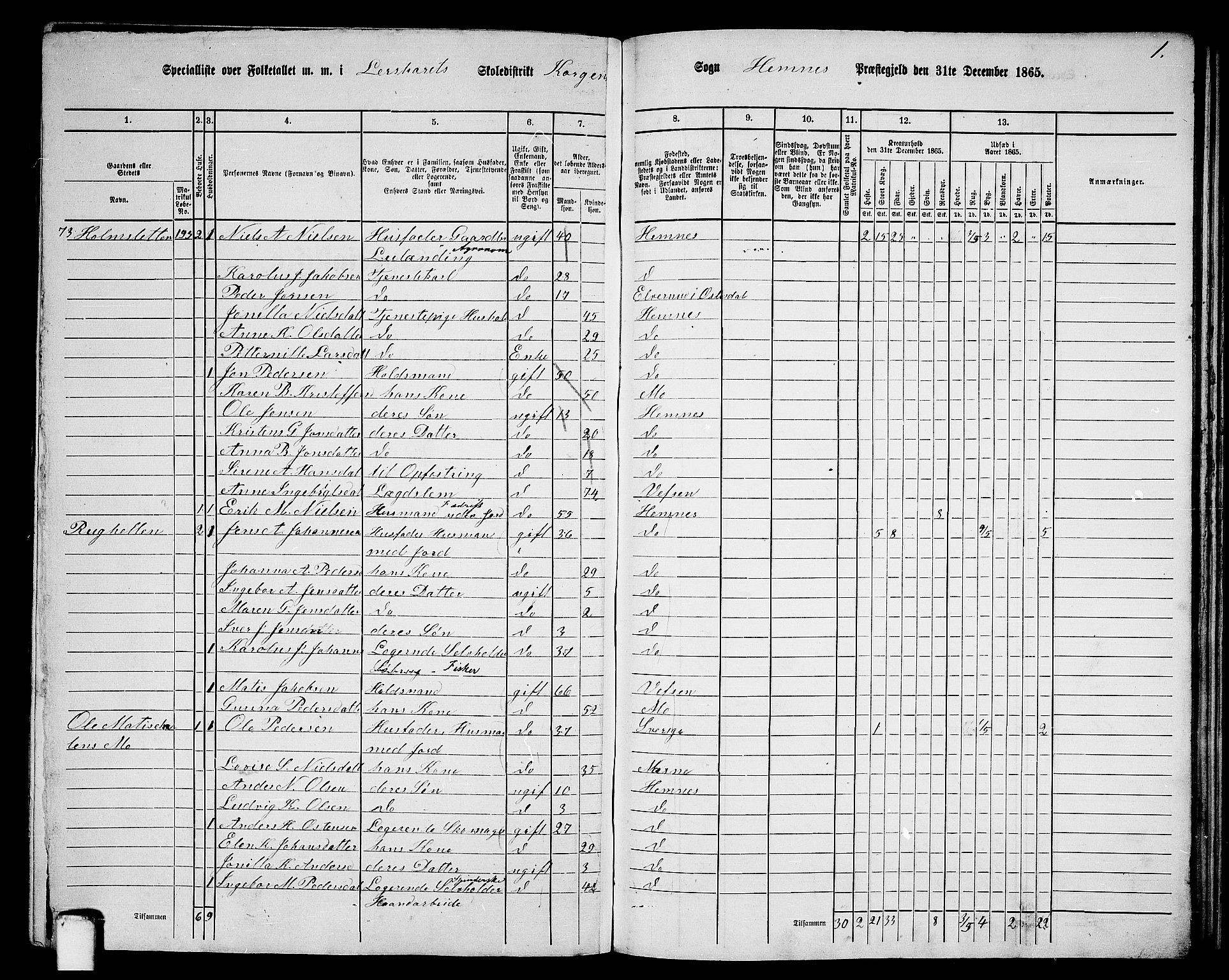 RA, 1865 census for Hemnes, 1865, p. 116