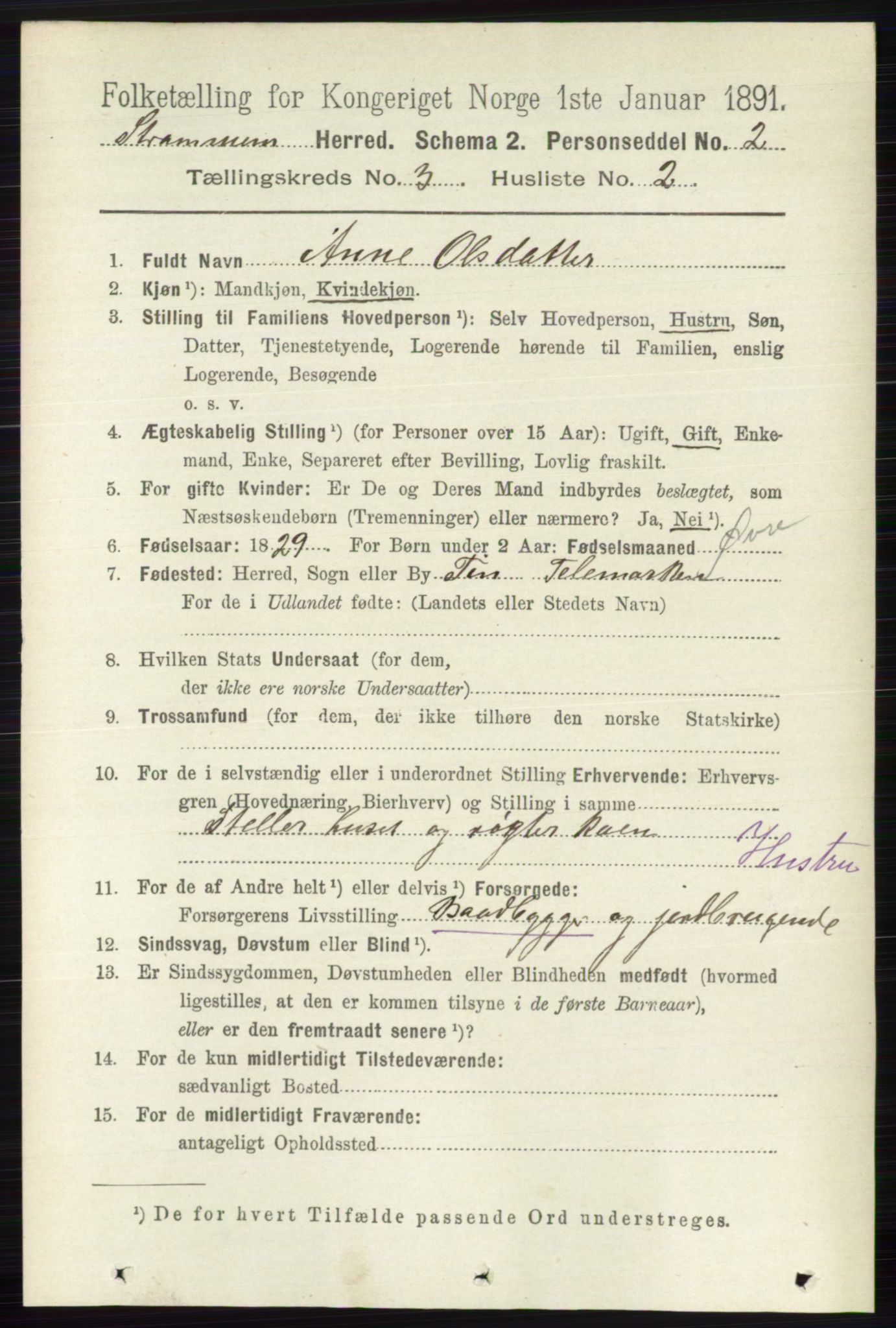 RA, 1891 census for 0711 Strømm, 1891, p. 1079