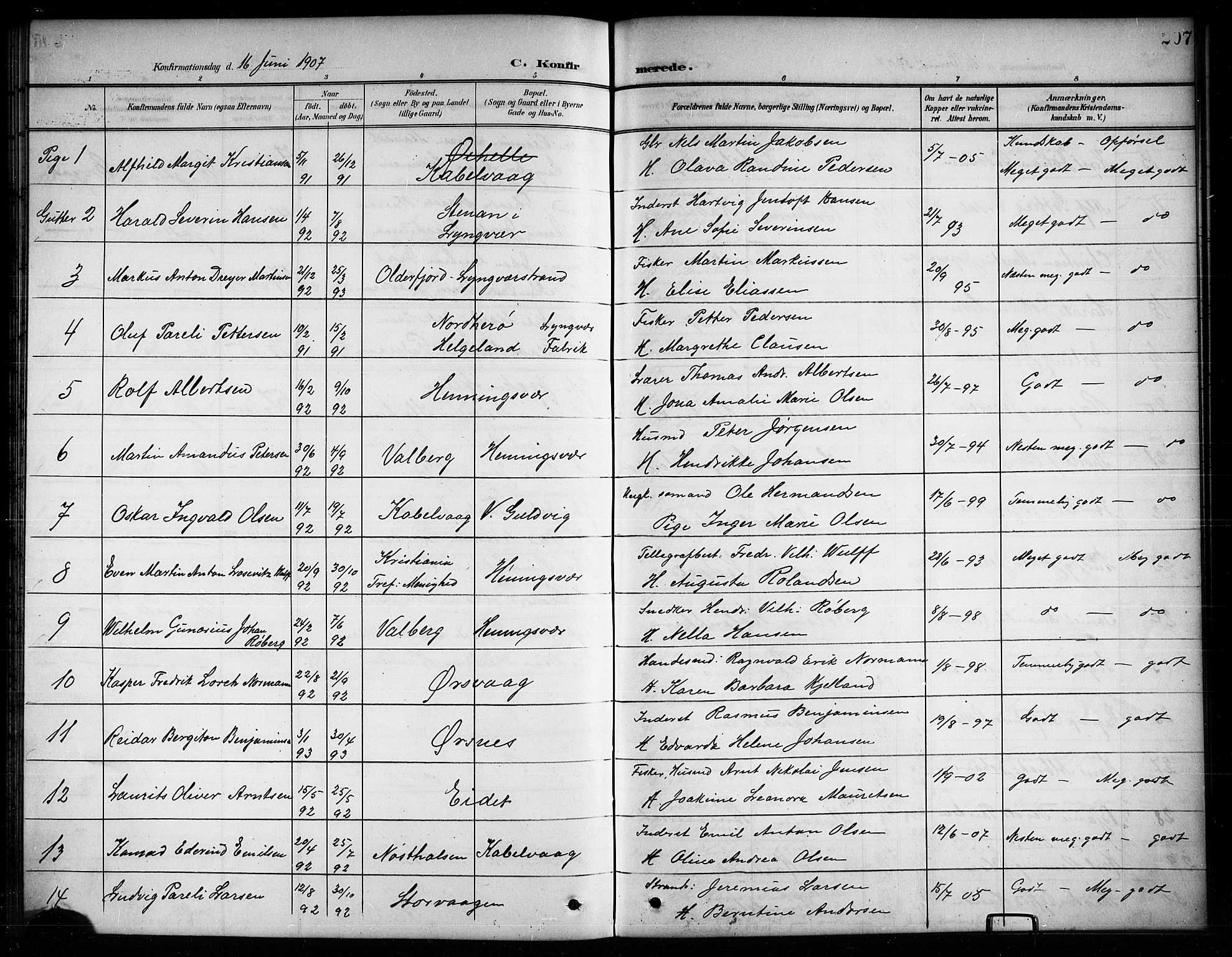 Ministerialprotokoller, klokkerbøker og fødselsregistre - Nordland, SAT/A-1459/874/L1078: Parish register (copy) no. 874C07, 1900-1907, p. 207