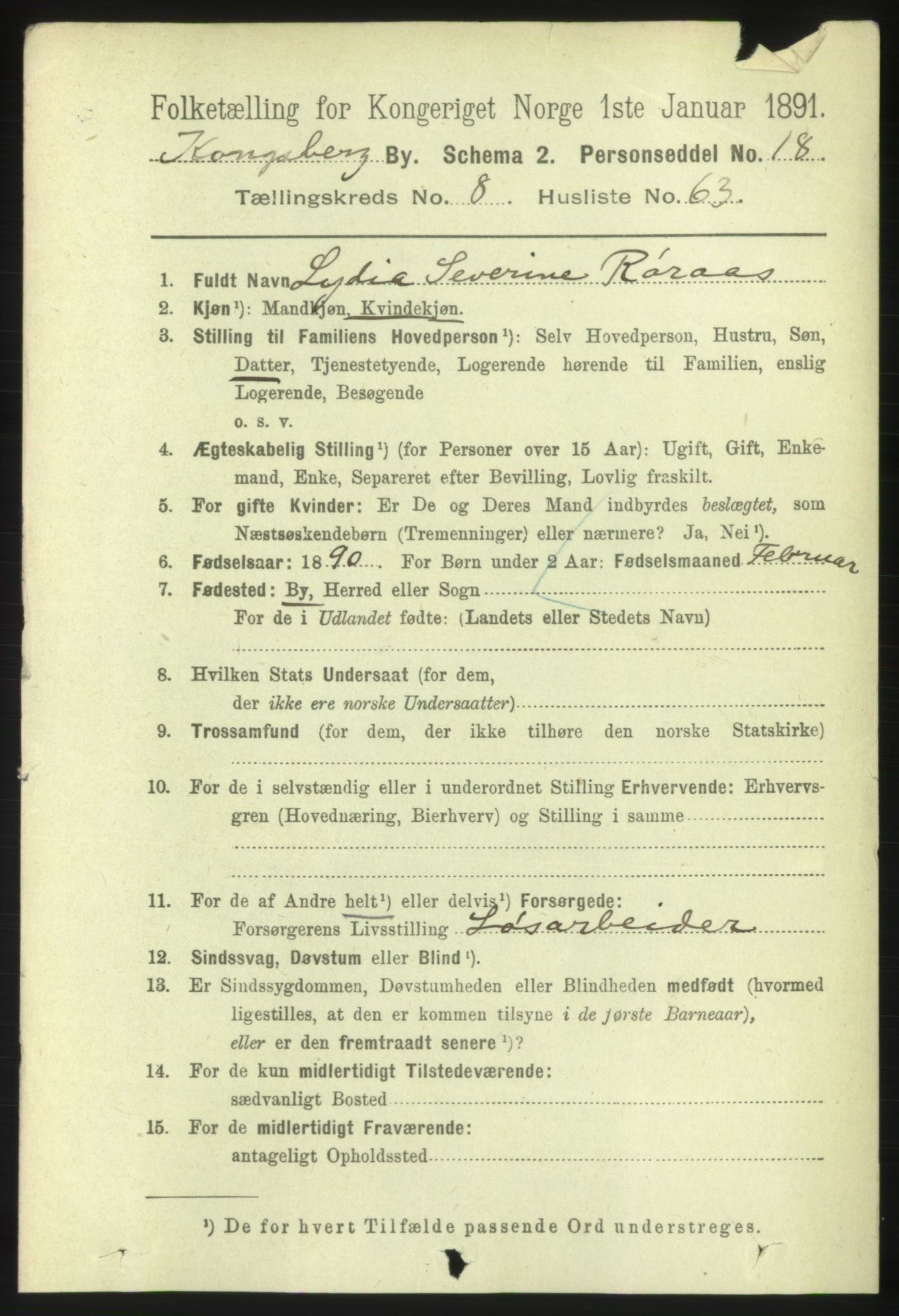 RA, 1891 census for 0604 Kongsberg, 1891, p. 6042