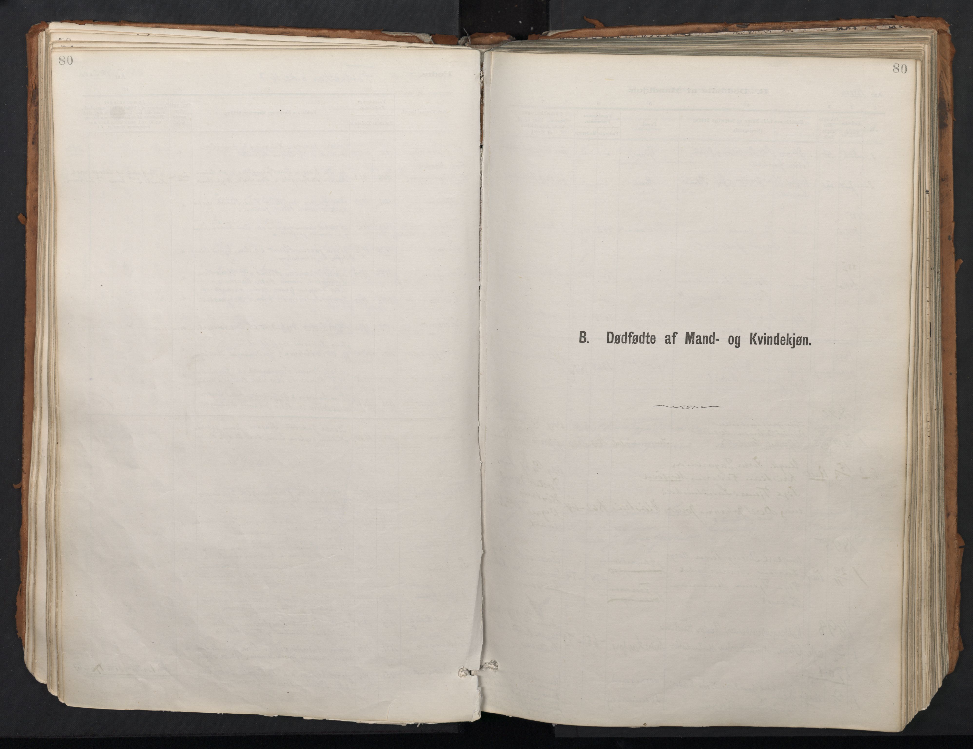 Ministerialprotokoller, klokkerbøker og fødselsregistre - Nordland, SAT/A-1459/824/L0338: Parish register (official) no. 824A01, 1880-1915, p. 80